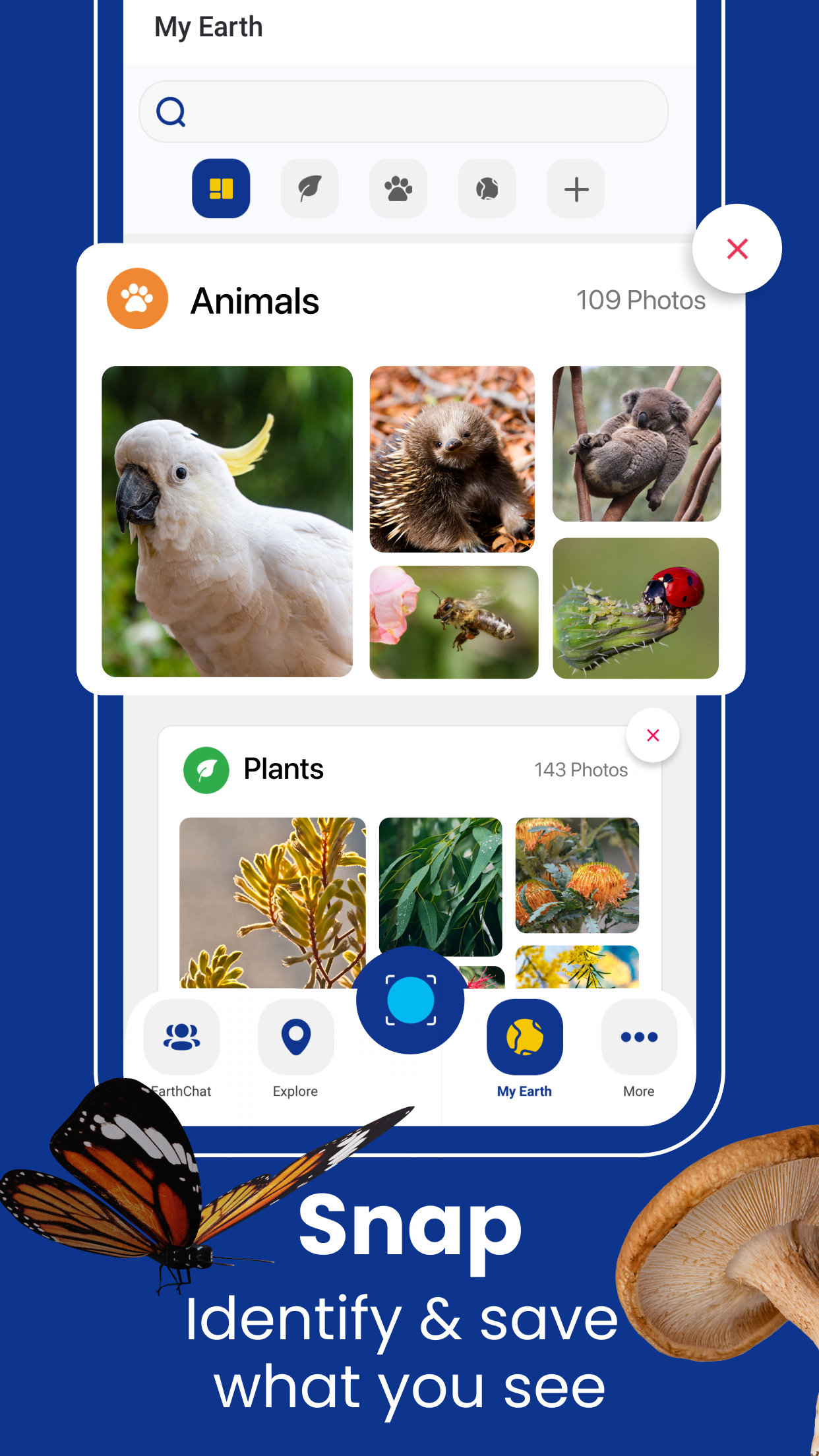 Captura de ecrã 3 da app Plant ID & Identification