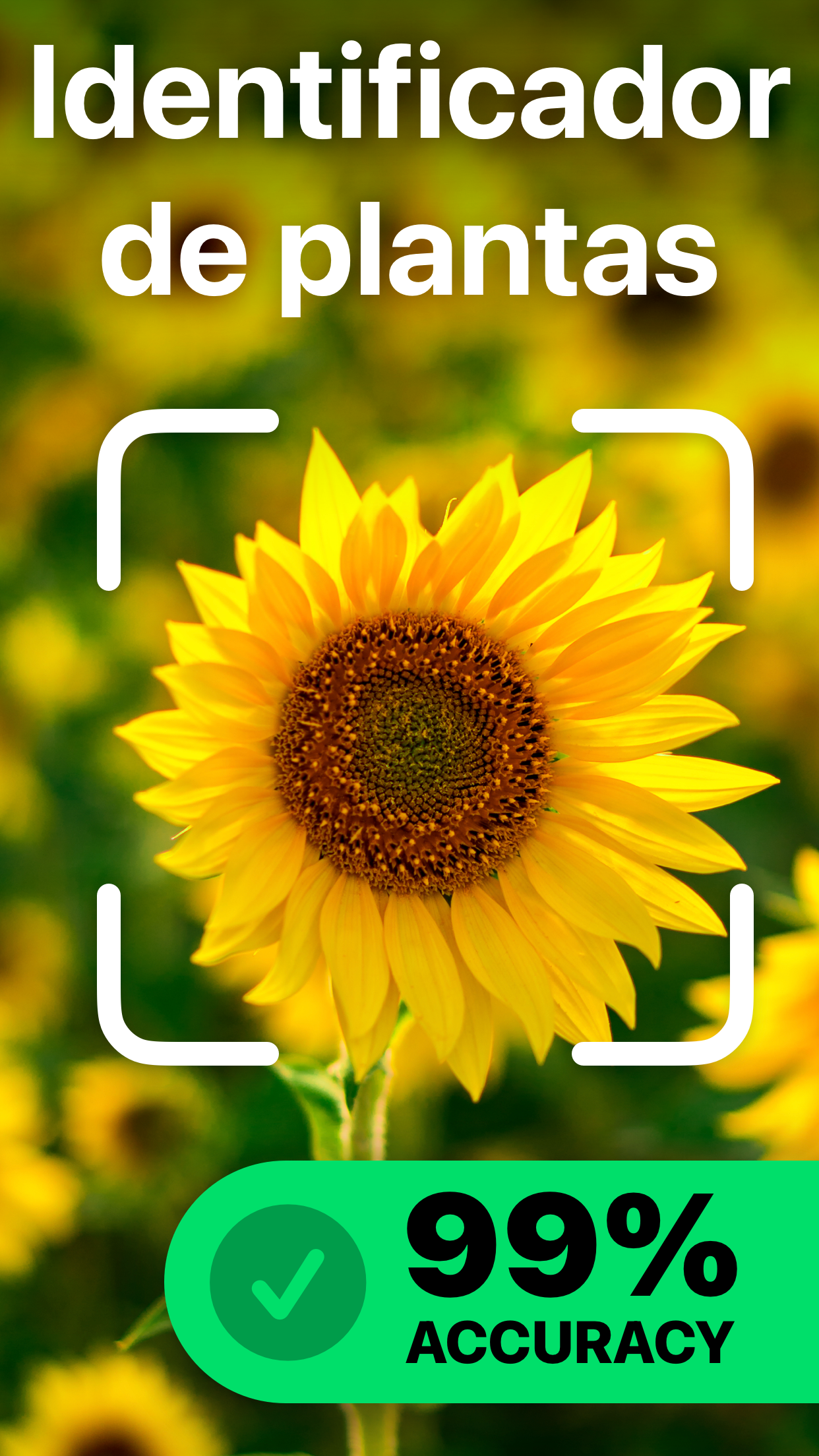 Captura de ecrã 1 da app PlantAI Identificação plantas
