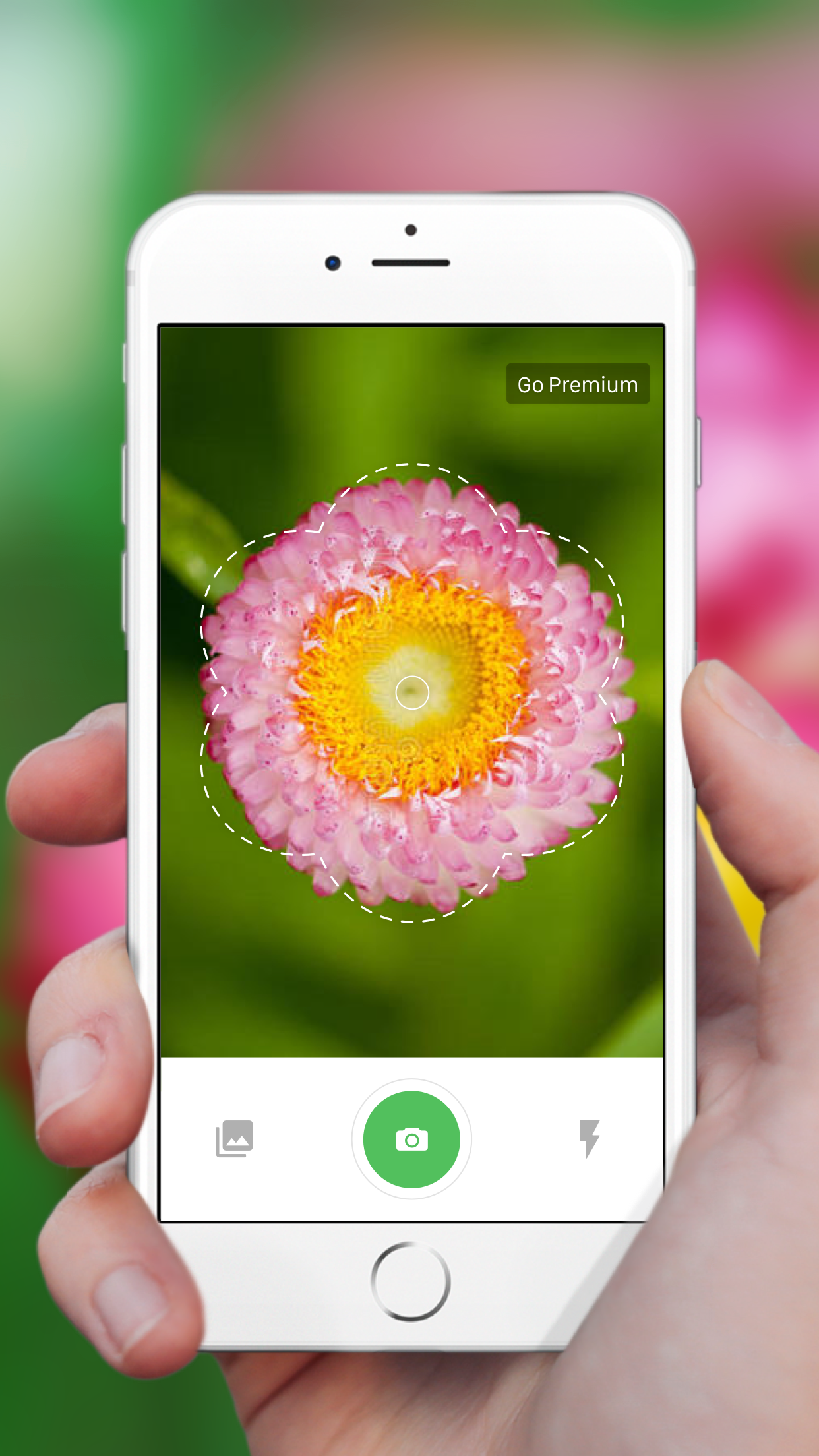 Captura de ecrã 1 da app Plant Identification ++
