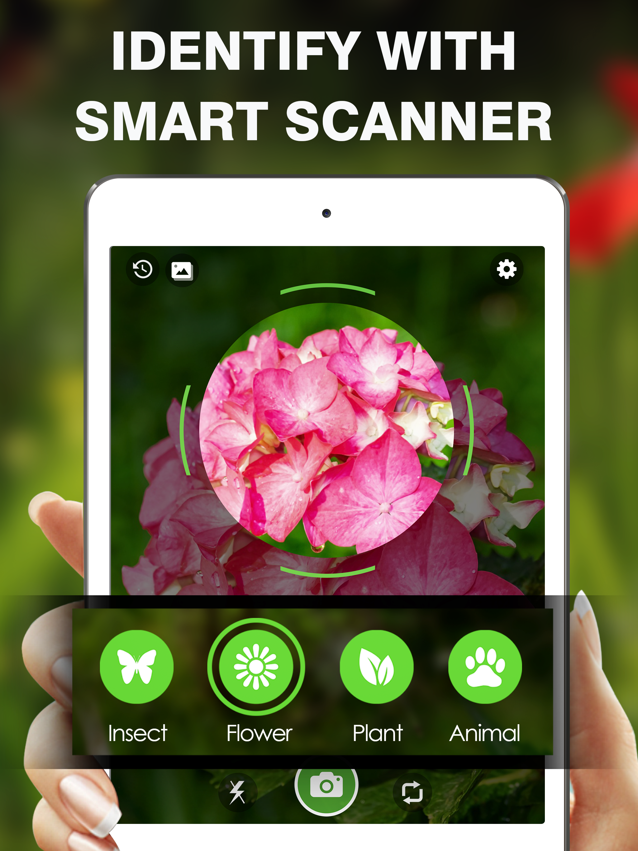 Captura de ecrã 4 da app Smart Identifier: Plant+Insect