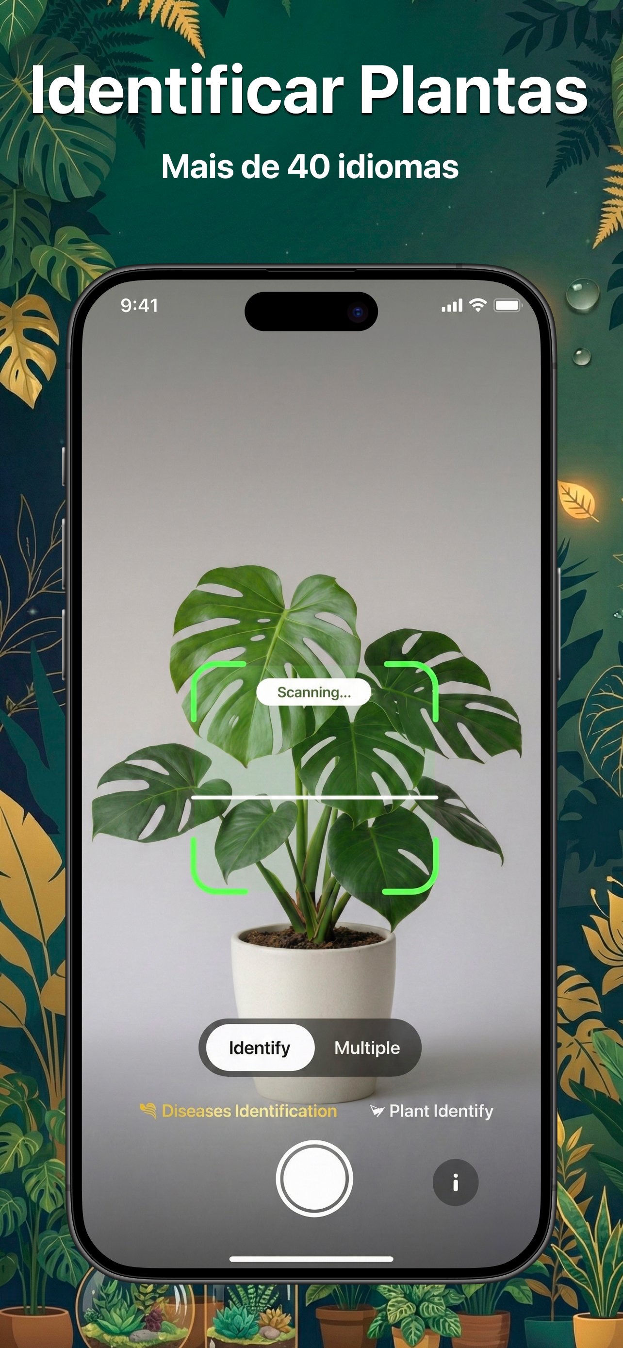 Captura de ecrã 2 da app Identificar Plantas: Fylora
