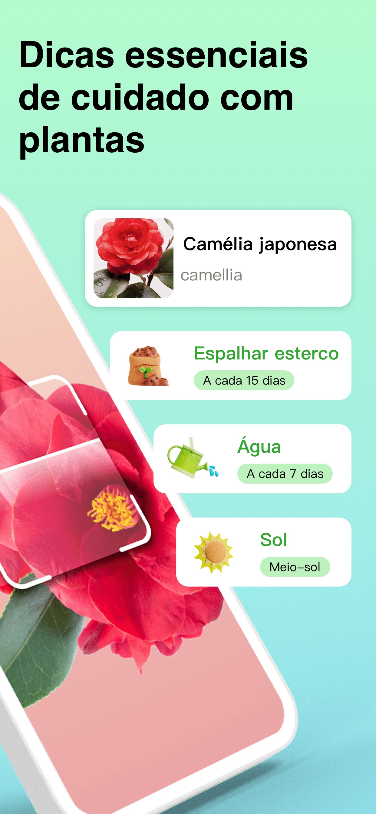 Captura de ecrã 2 da app Plant Identifier: ChatPlant AI