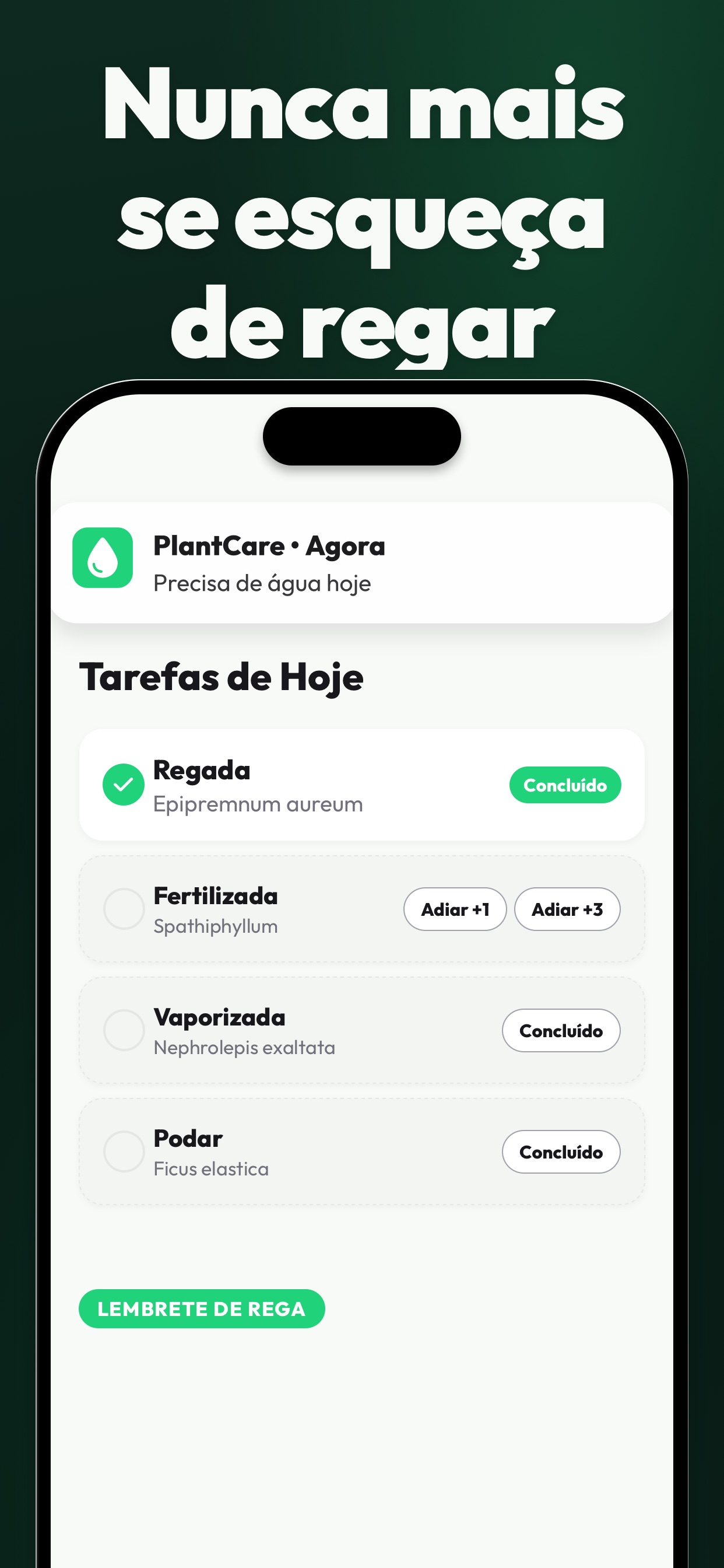 Captura de ecrã 4 da app Identificar Plantas e Doenças