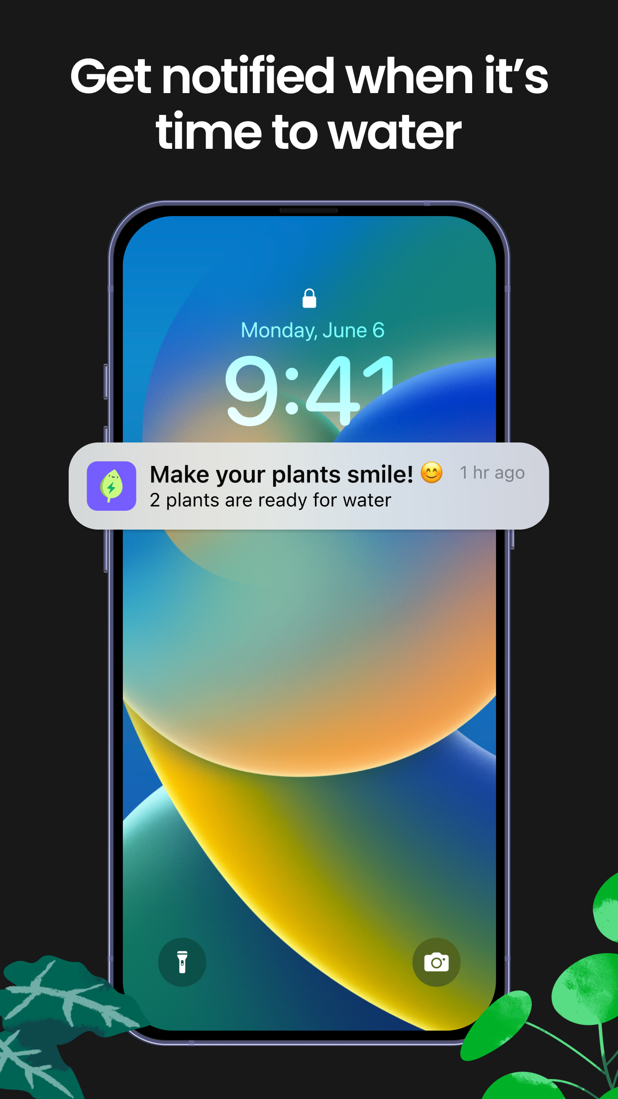Captura de ecrã 3 da app Greg: Plant Identifier & Care