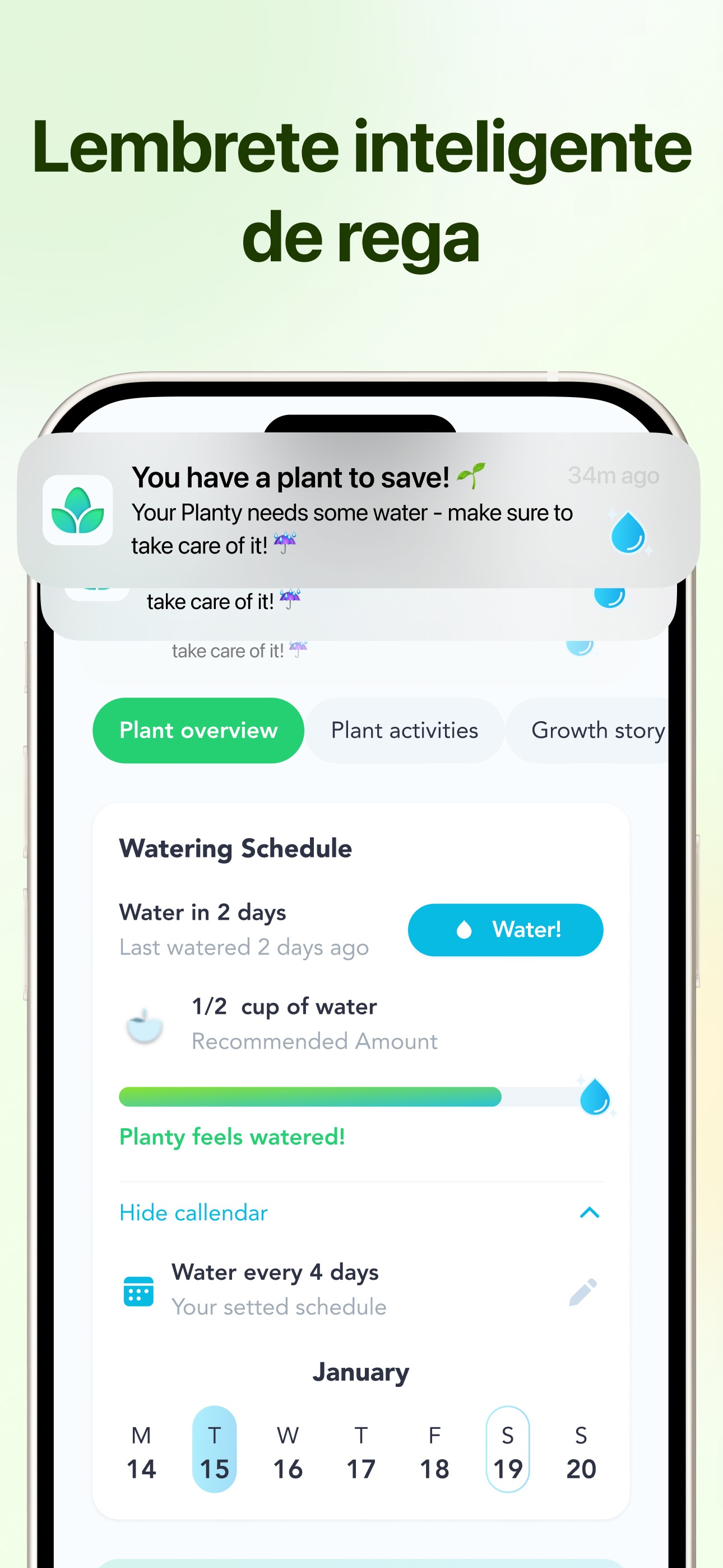 Captura de ecrã 3 da app Flora Identificador de plantas