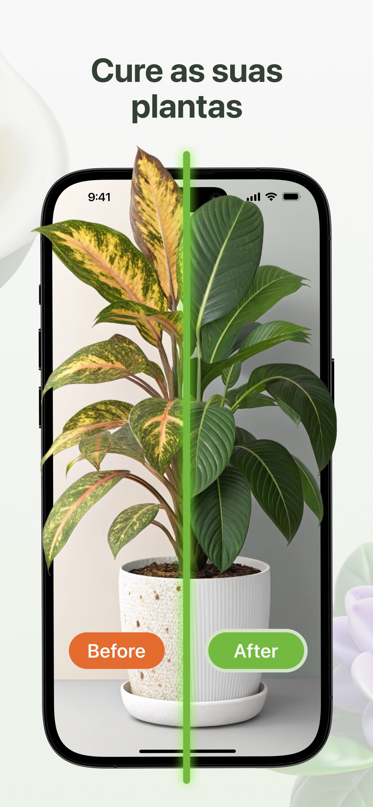 Captura de ecrã 4 da app Plantity: Identificar Plantas