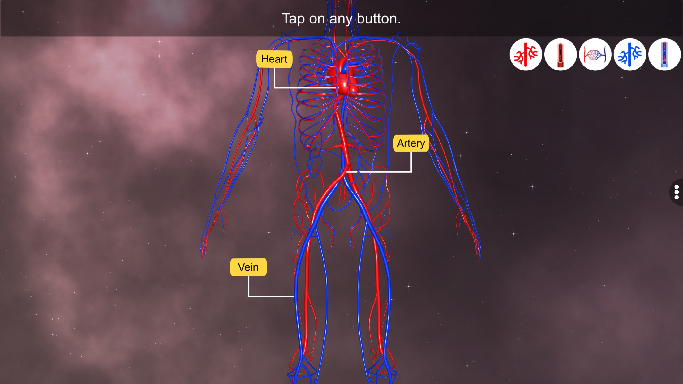 Captura de ecrã 2 da app Vascular system
