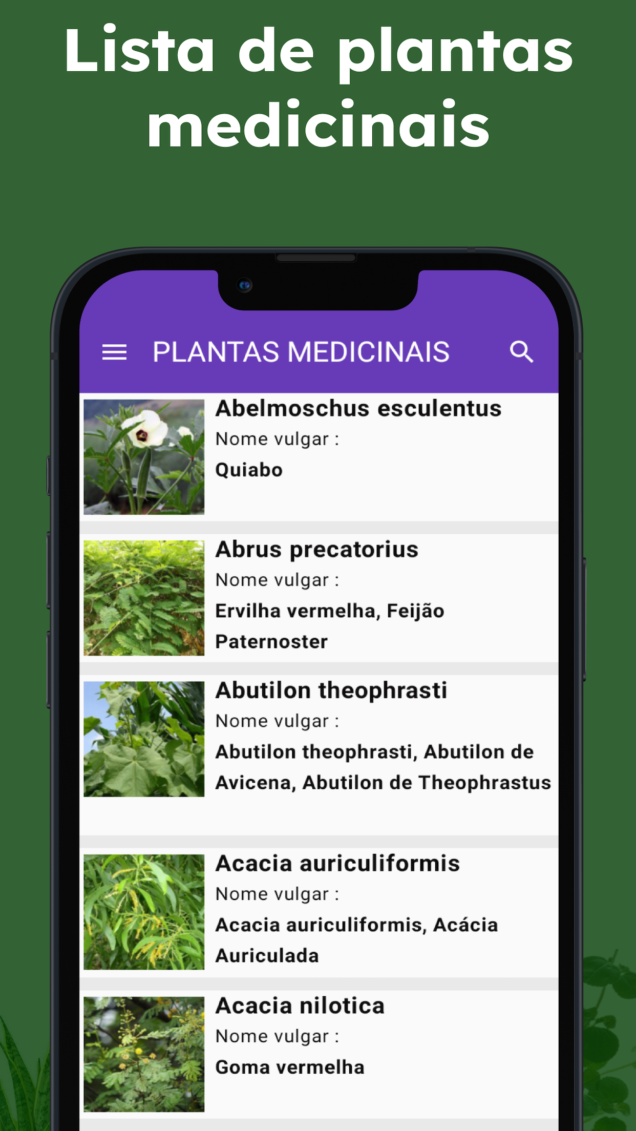 Captura de ecrã 3 da app Plantas identificador e folhas