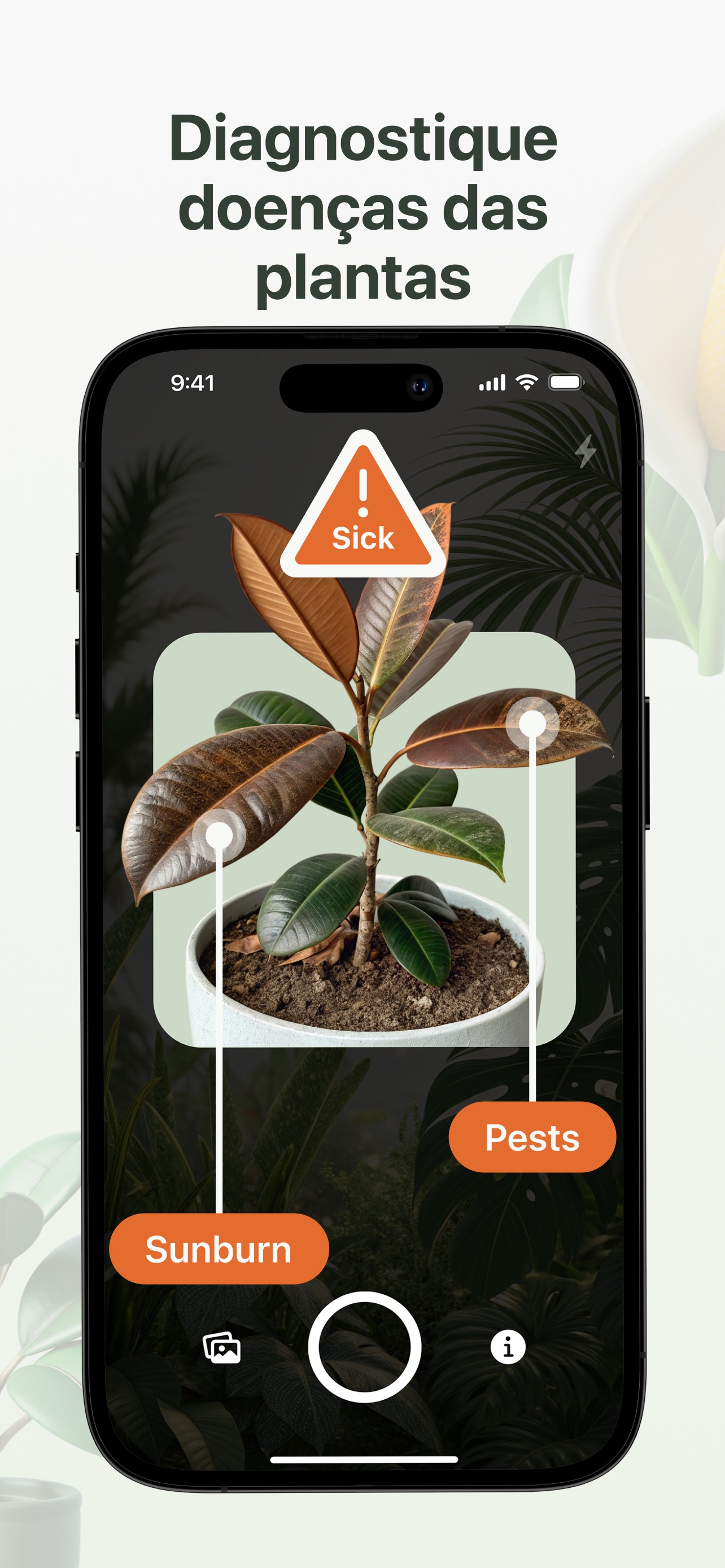 Captura de ecrã 3 da app Plantity: Identificar Plantas