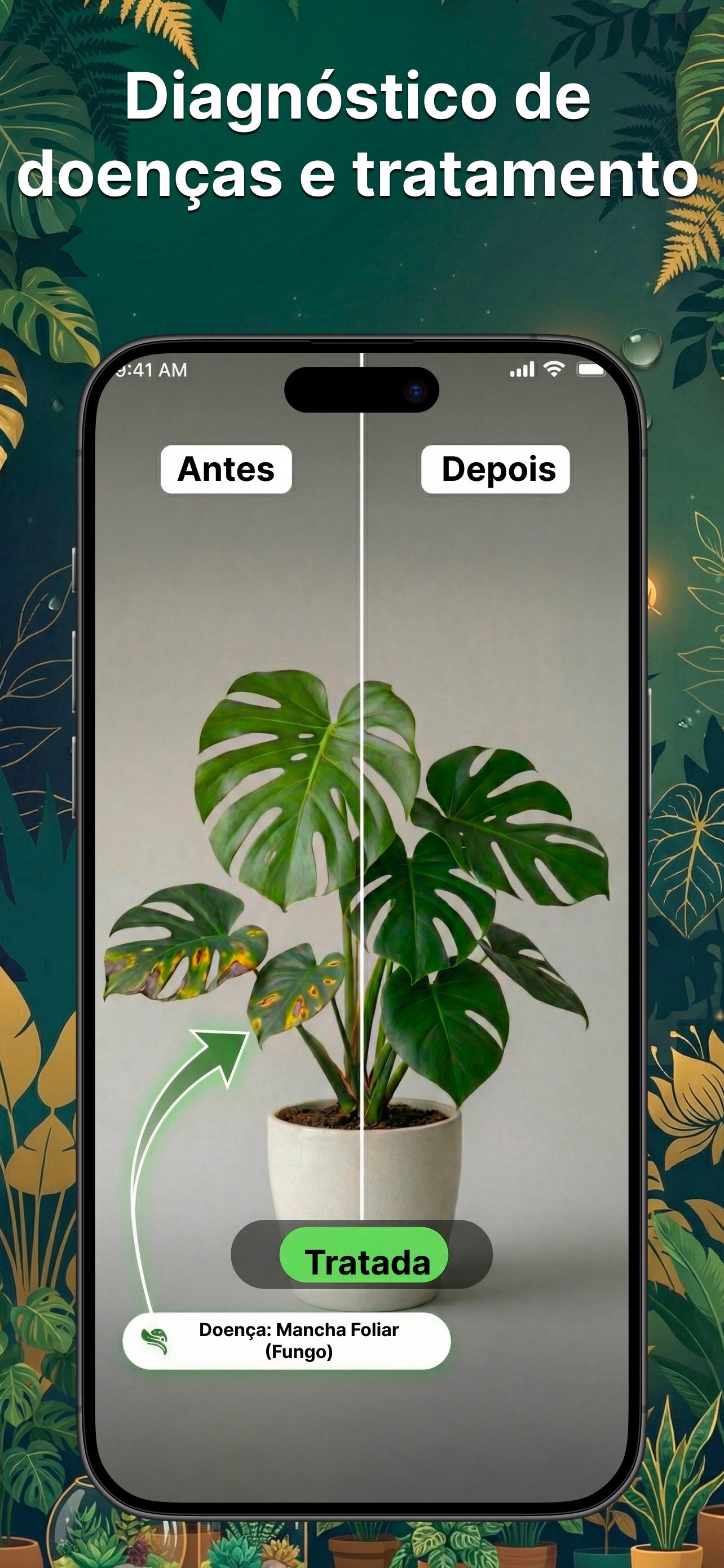 Captura de ecrã 4 da app Identificar Plantas: Fylora