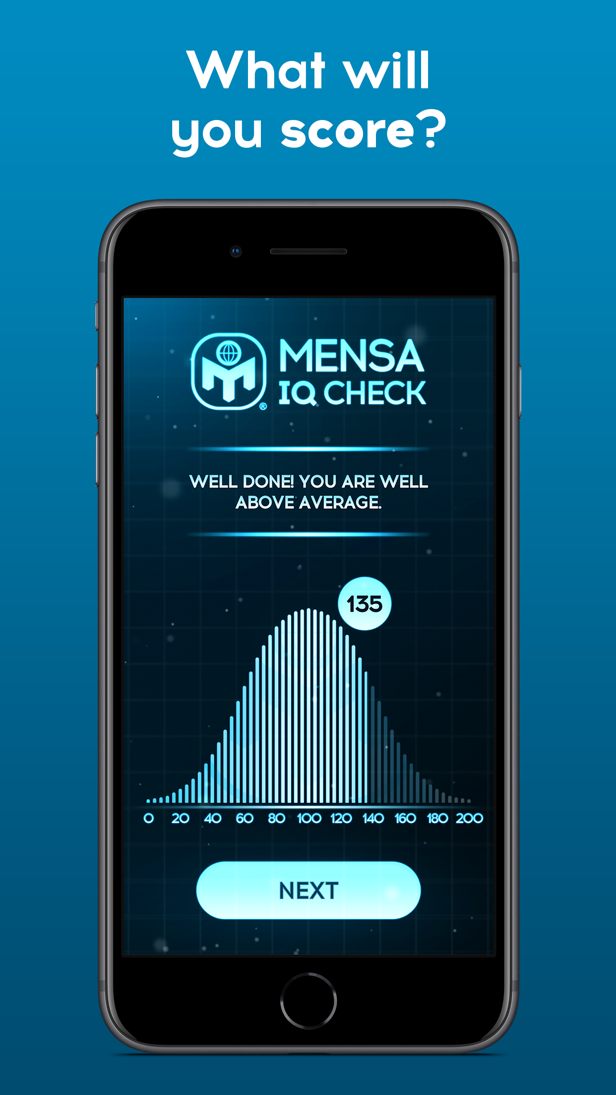 Mensa IQ Check screenshot 4