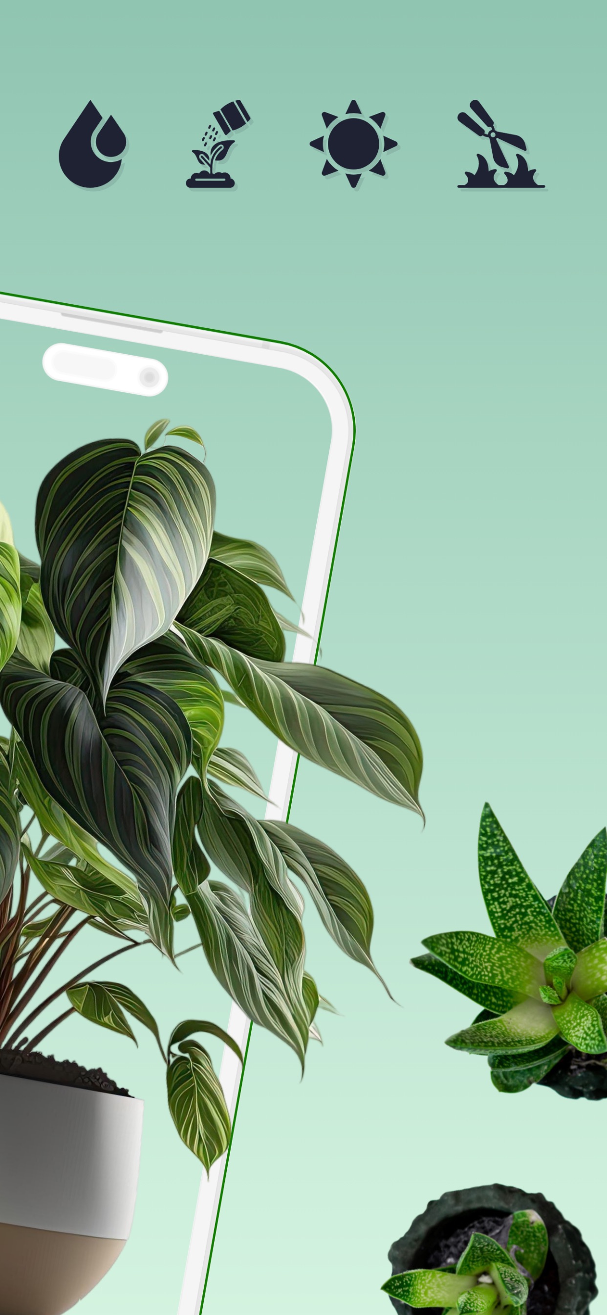 Captura de ecrã 2 da app Plant Identifier  .