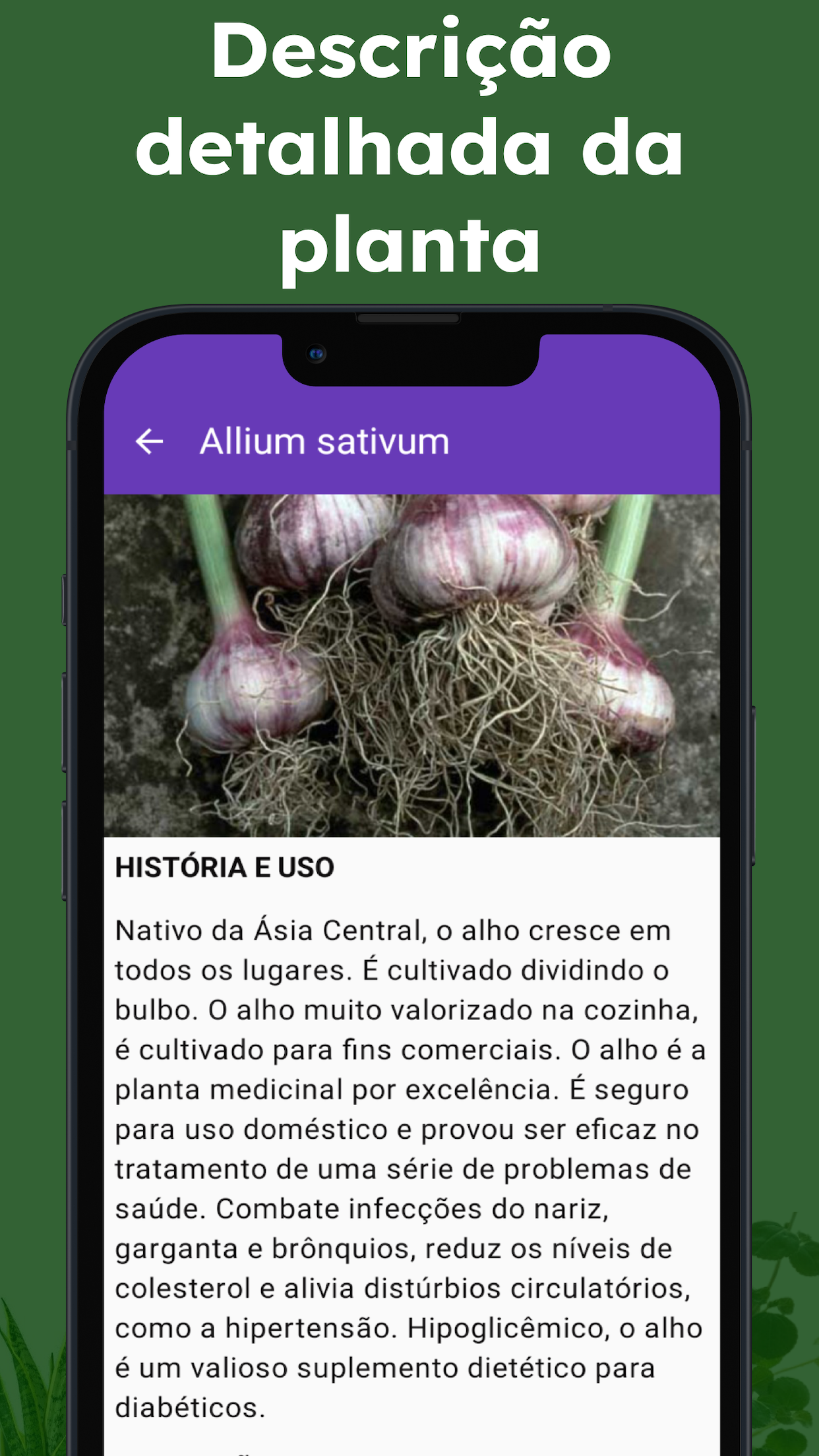 Captura de ecrã 4 da app Plantas identificador e folhas