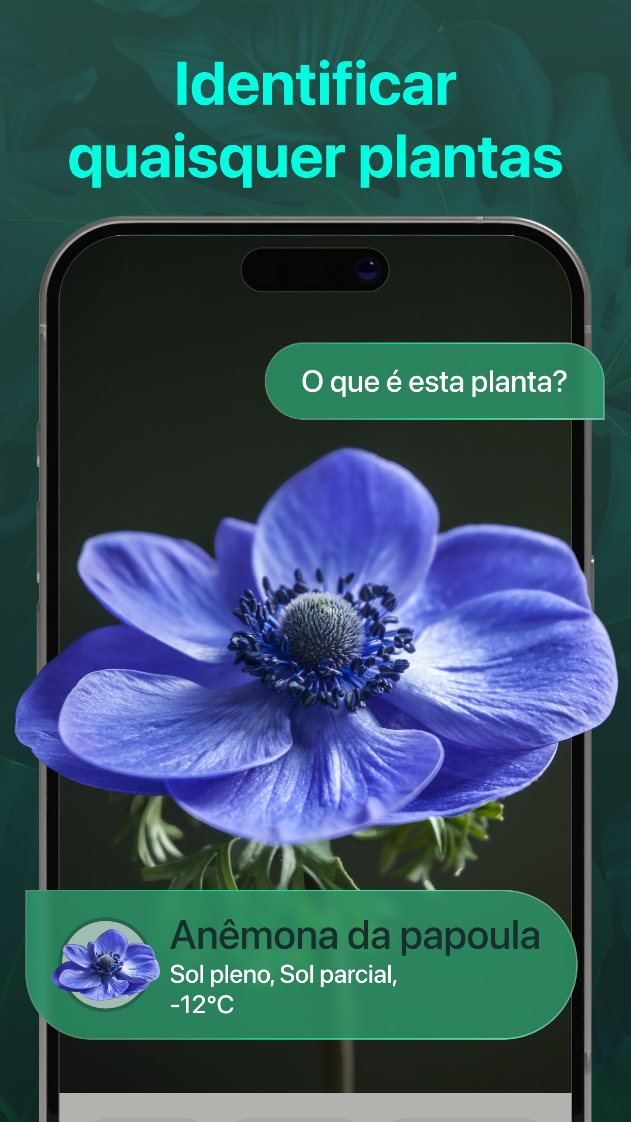 Captura de ecrã 3 da app PlantAI-Identificador&Cuidados