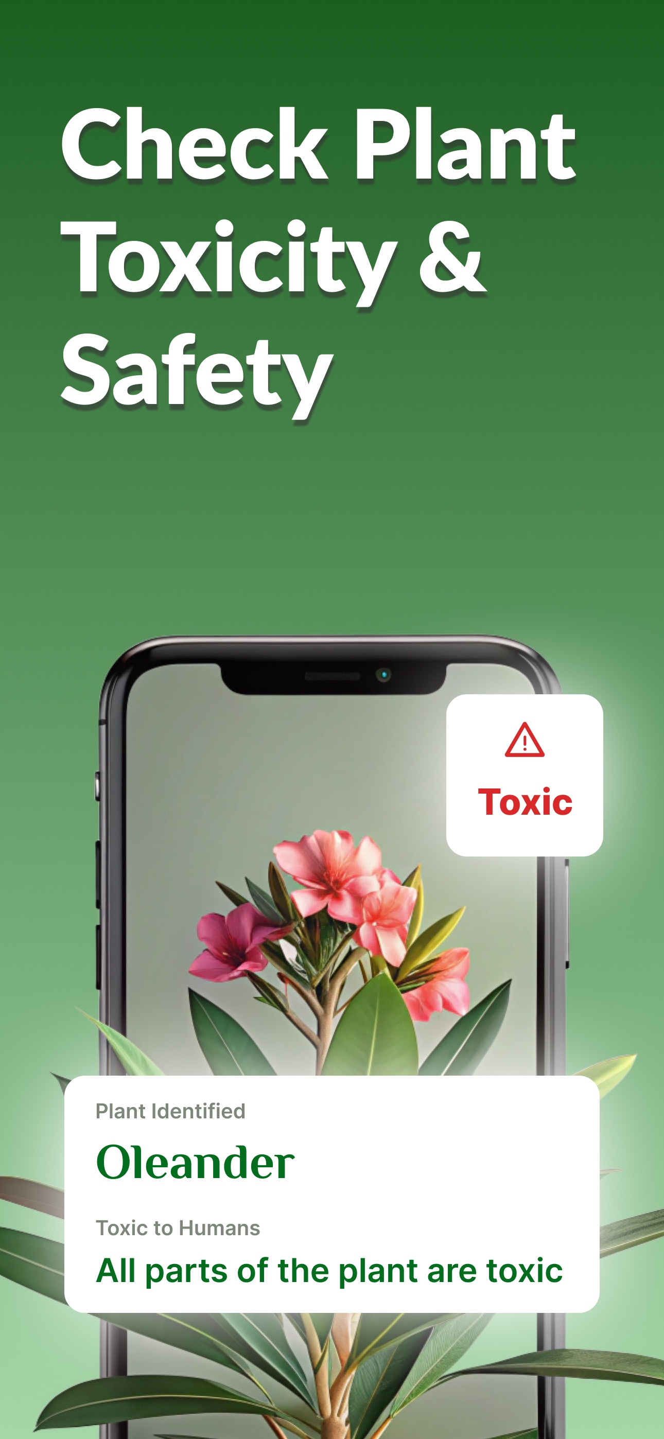 Captura de ecrã 3 da app Plant App: Tree Identification
