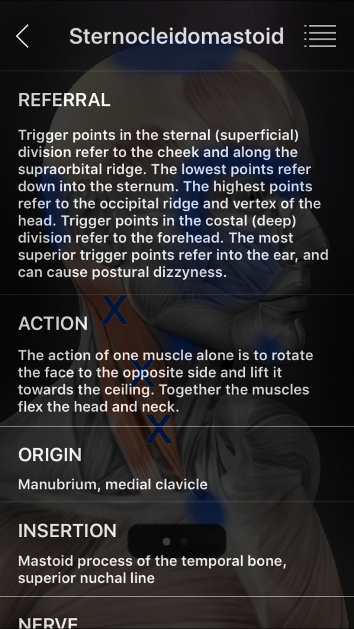 Captura de ecrã 3 da app Muscle Trigger Points