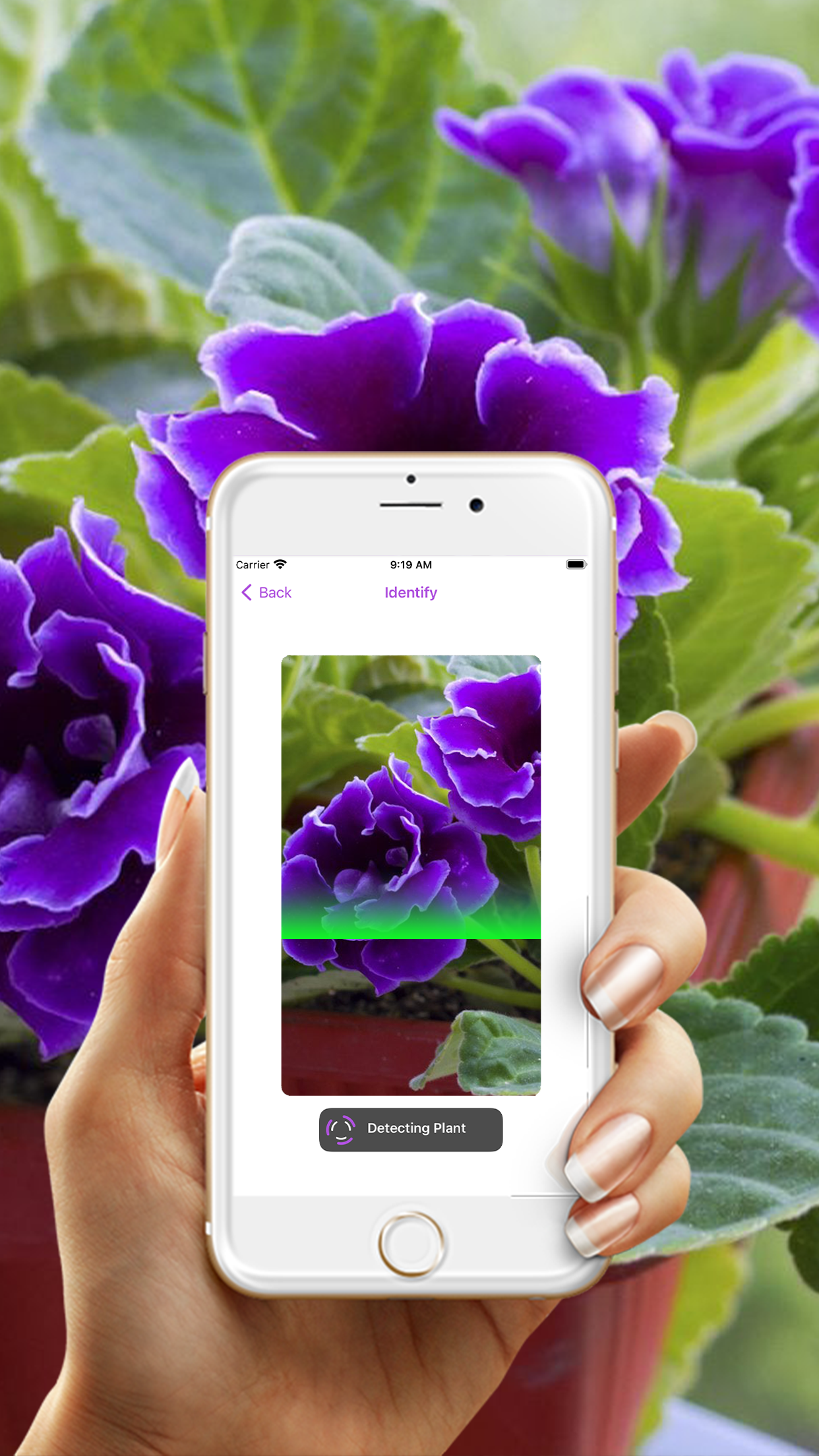 Captura de ecrã 3 da app PlantMe