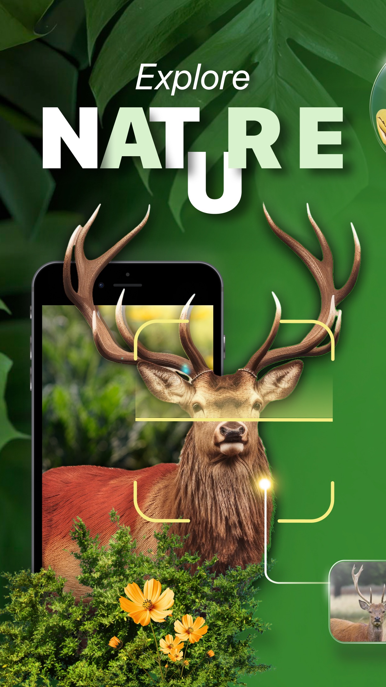 Captura de ecrã 1 da app Nature ID - Plant Identifier