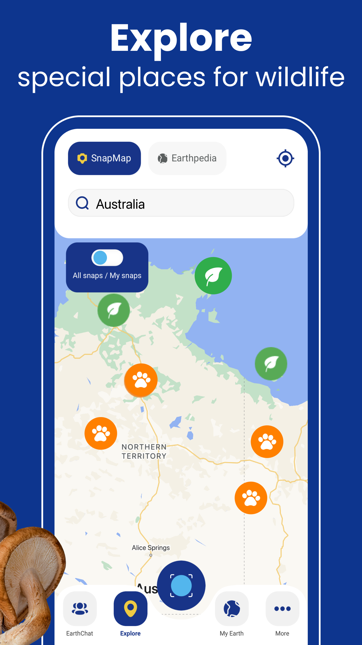 Captura de ecrã 4 da app Plant ID & Identification