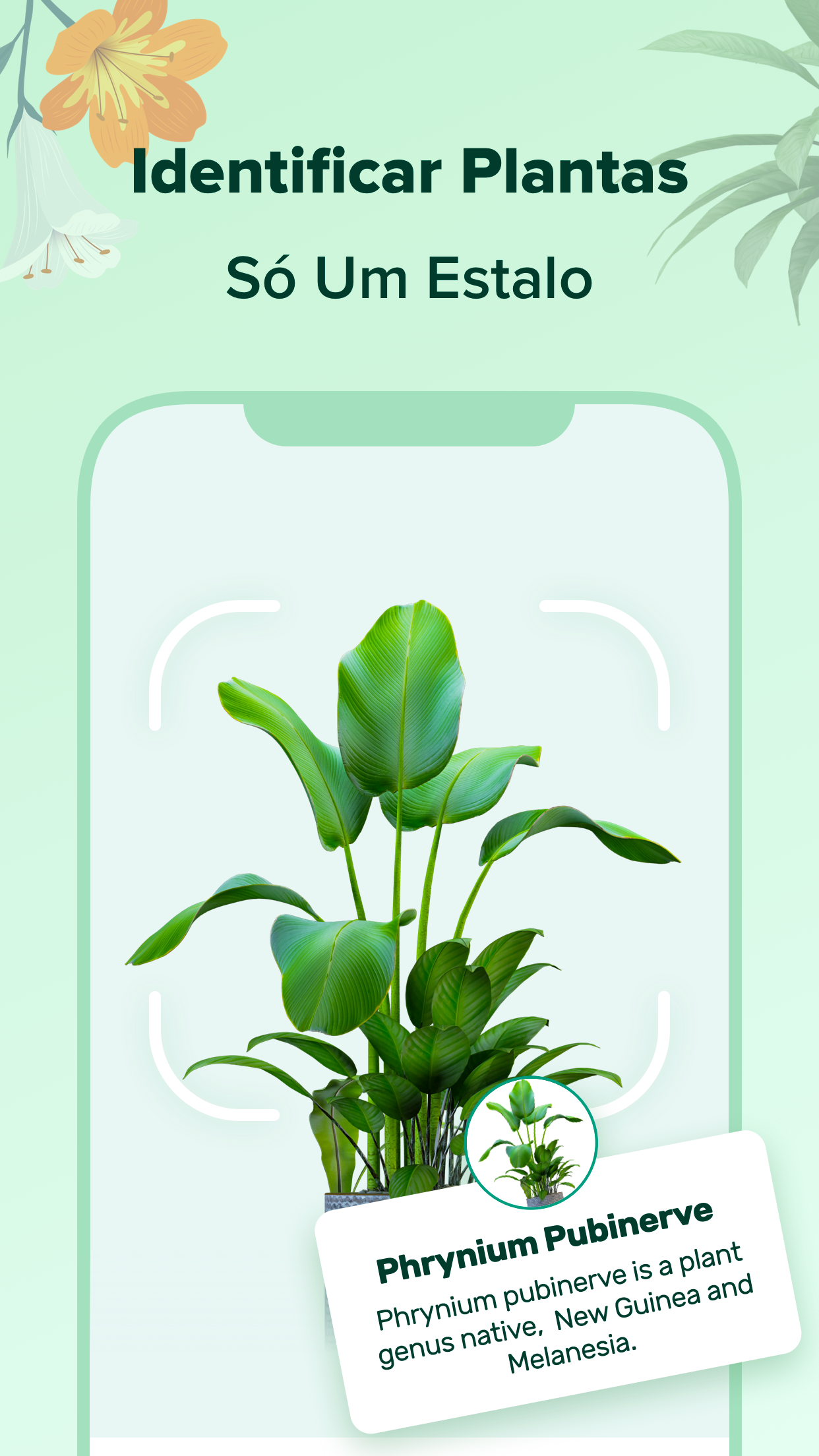 Captura de ecrã 1 da app PlantNow-Identificação Planta