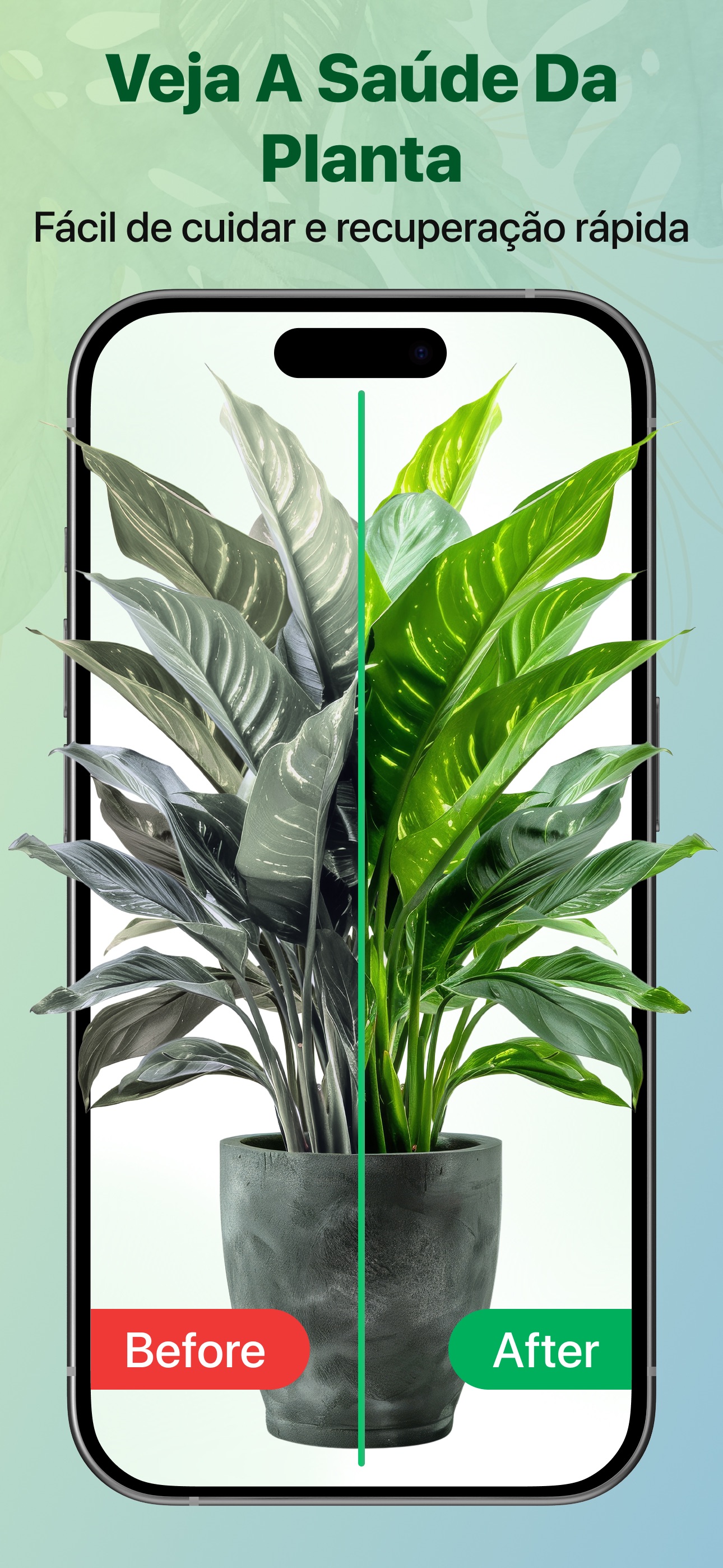 Captura de ecrã 4 da app Cuidados com as plantas e guia