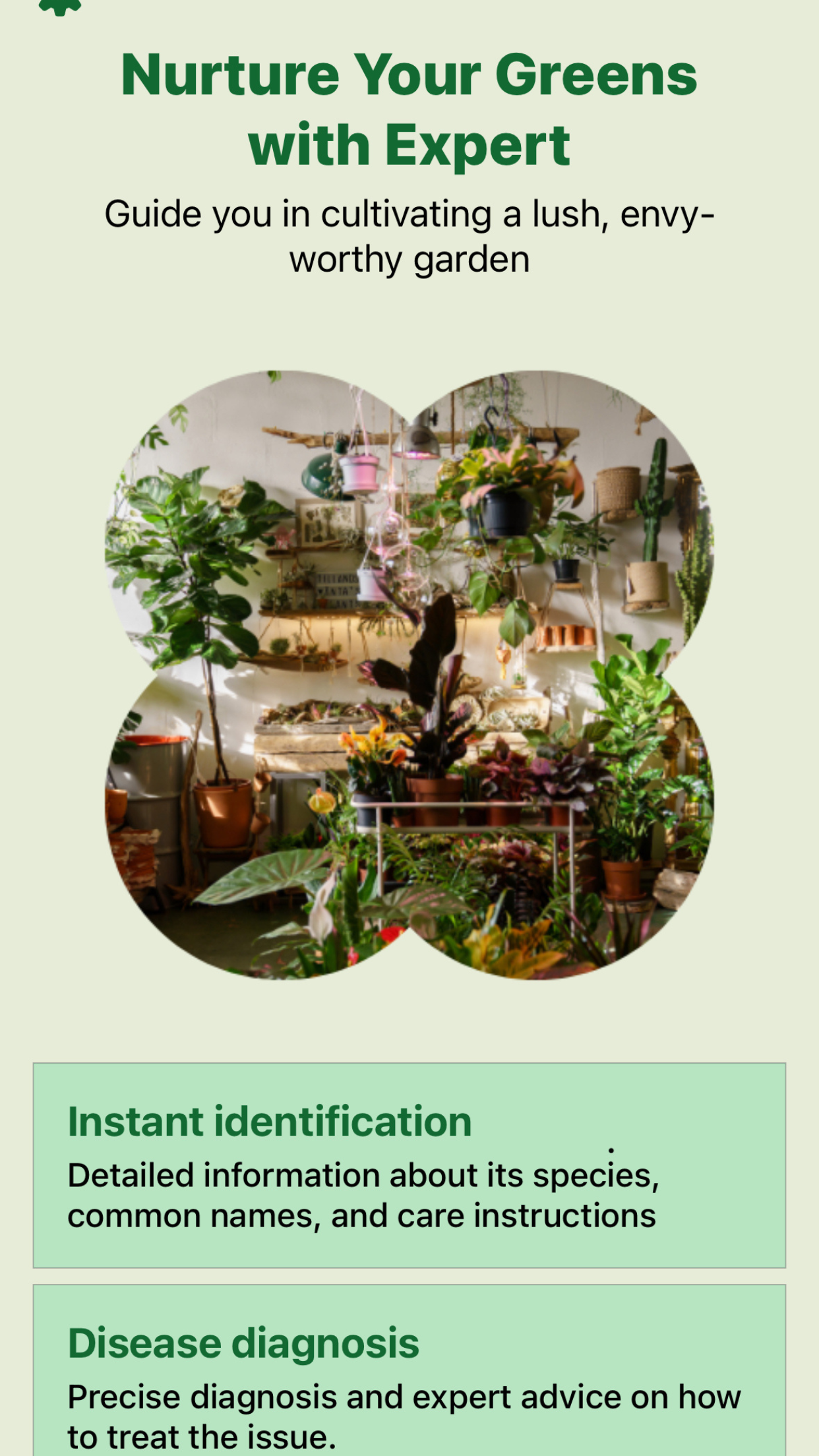 Captura de ecrã 1 da app Identificar e tratar doenças