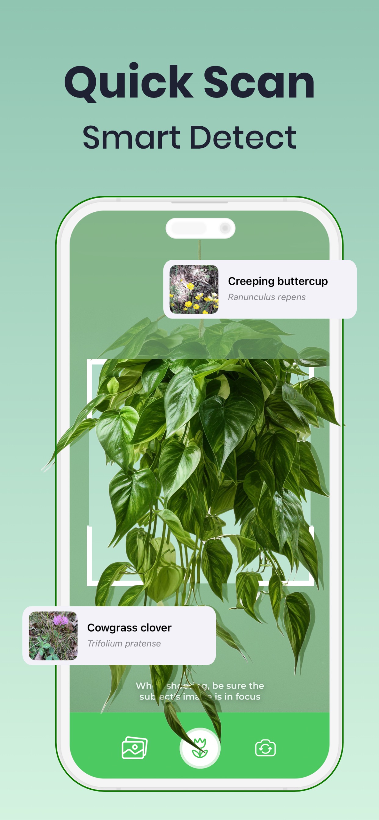 Captura de ecrã 3 da app Plant Identifier  .