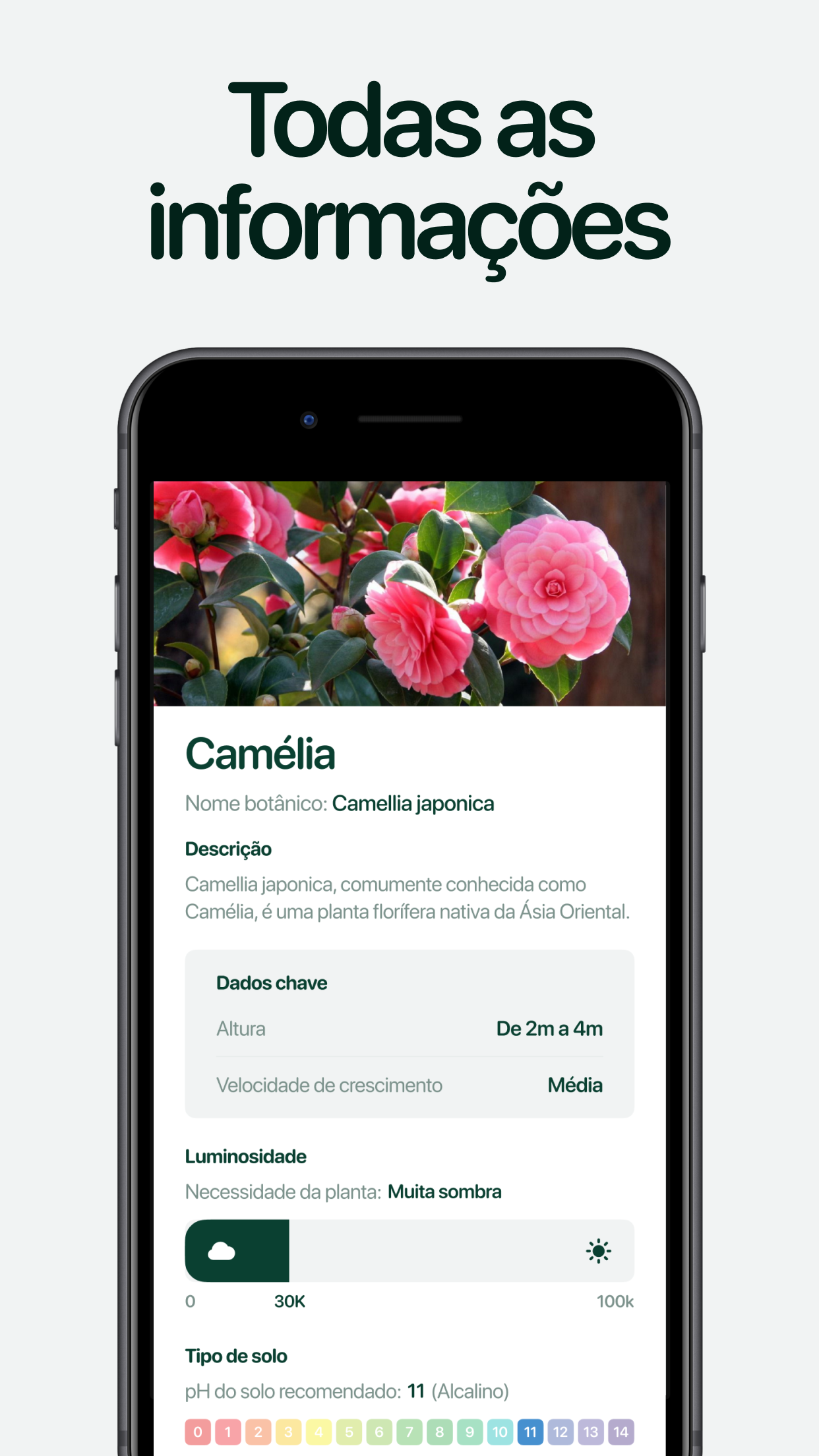 Captura de ecrã 2 da app Planto: Identificar Plantas