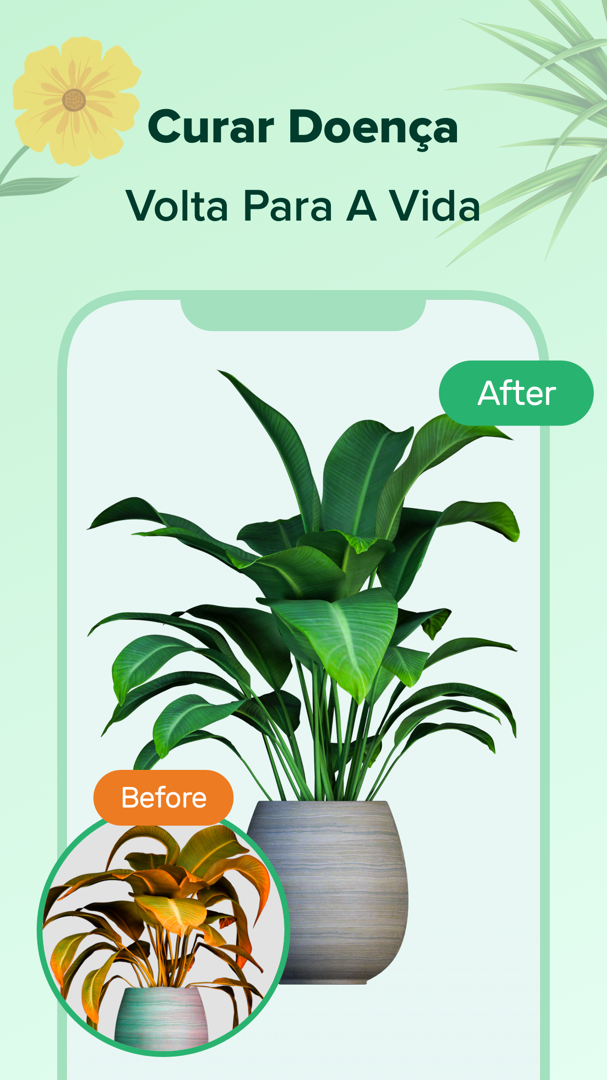 Captura de ecrã 2 da app PlantNow-Identificação Planta