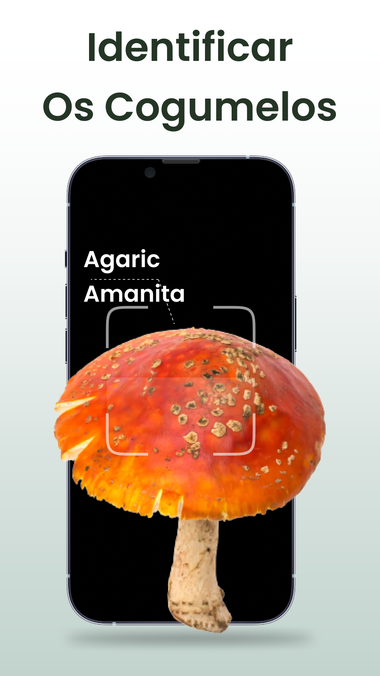 Captura de ecrã 2 da app Identificar plantas: Plantiary