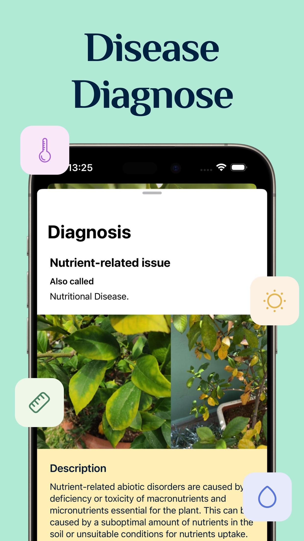 Captura de ecrã 3 da app Identificador de Plantas +