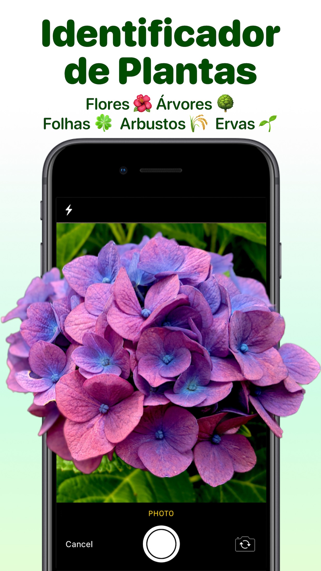 Captura de ecrã 1 da app Identificar Plantas Que Planta
