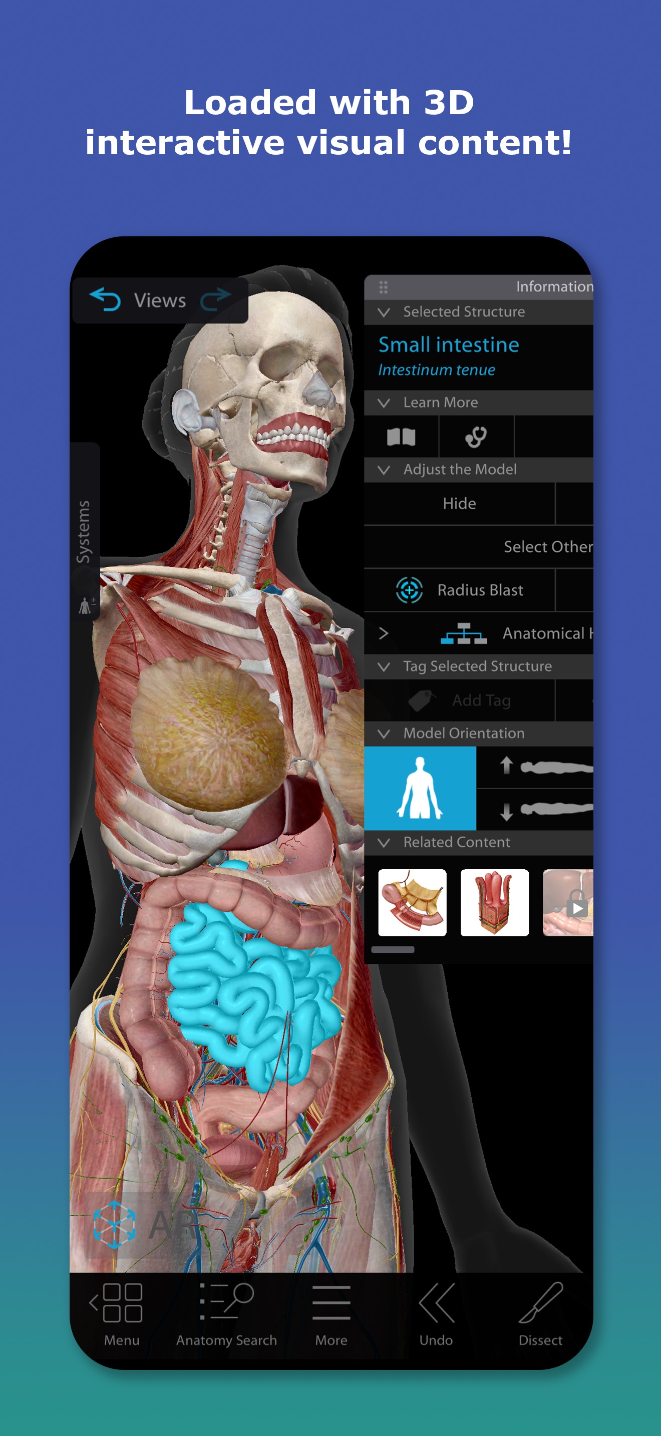 Captura de ecrã 1 da app Human Anatomy Atlas 2026