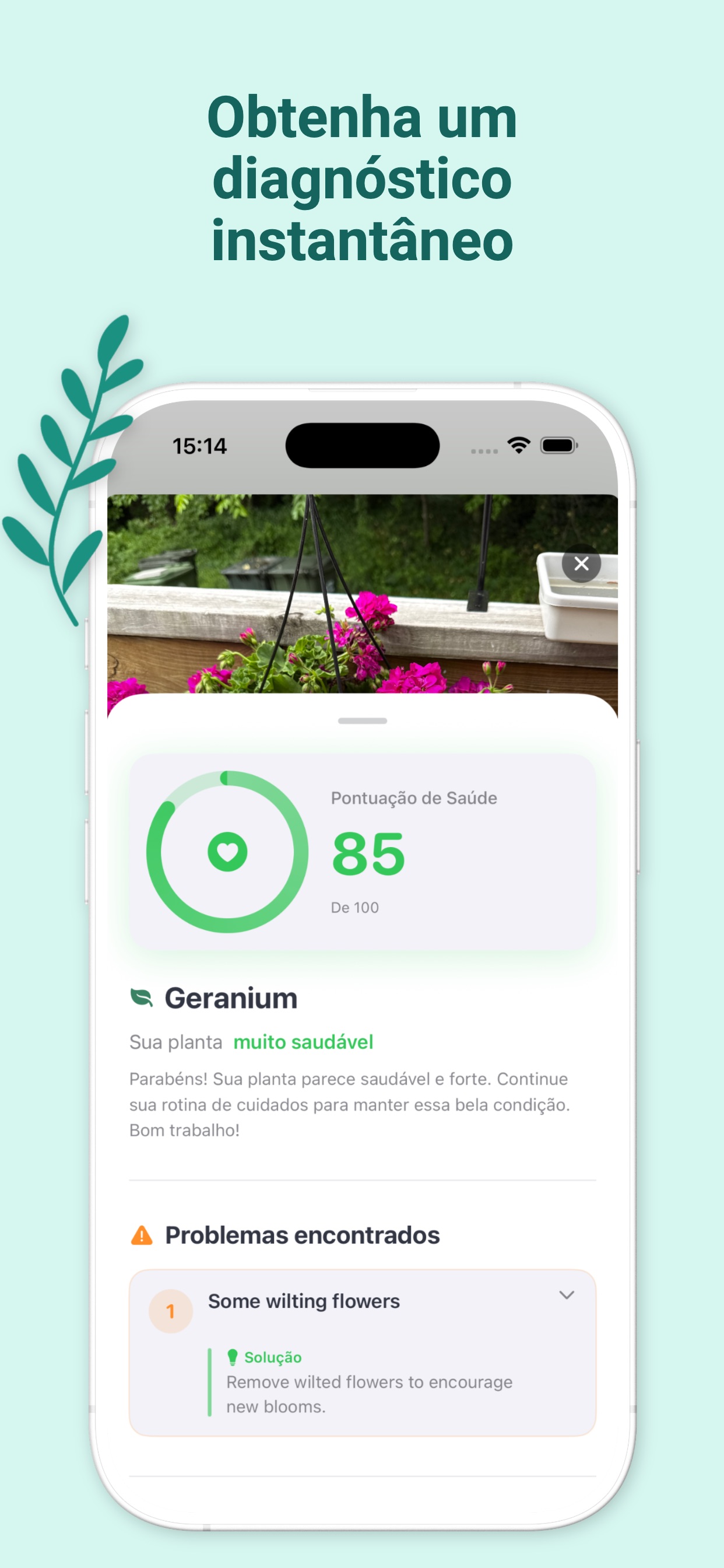 Captura de ecrã 3 da app As minhas plantas: cuidados