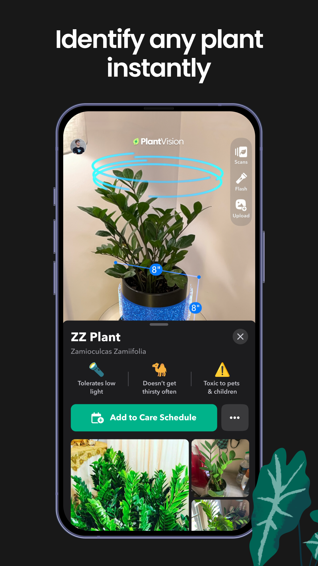 Captura de ecrã 2 da app Greg: Plant Identifier & Care
