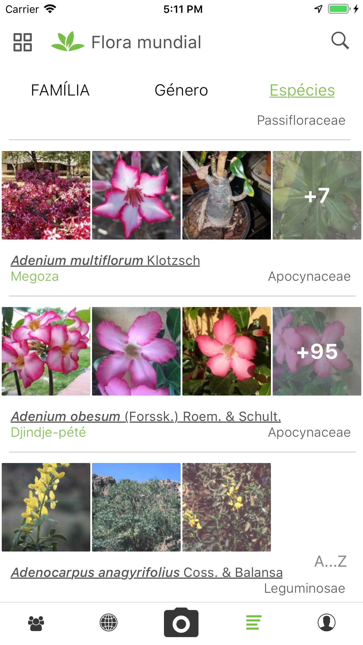 Captura de ecrã 4 da app PlantNet