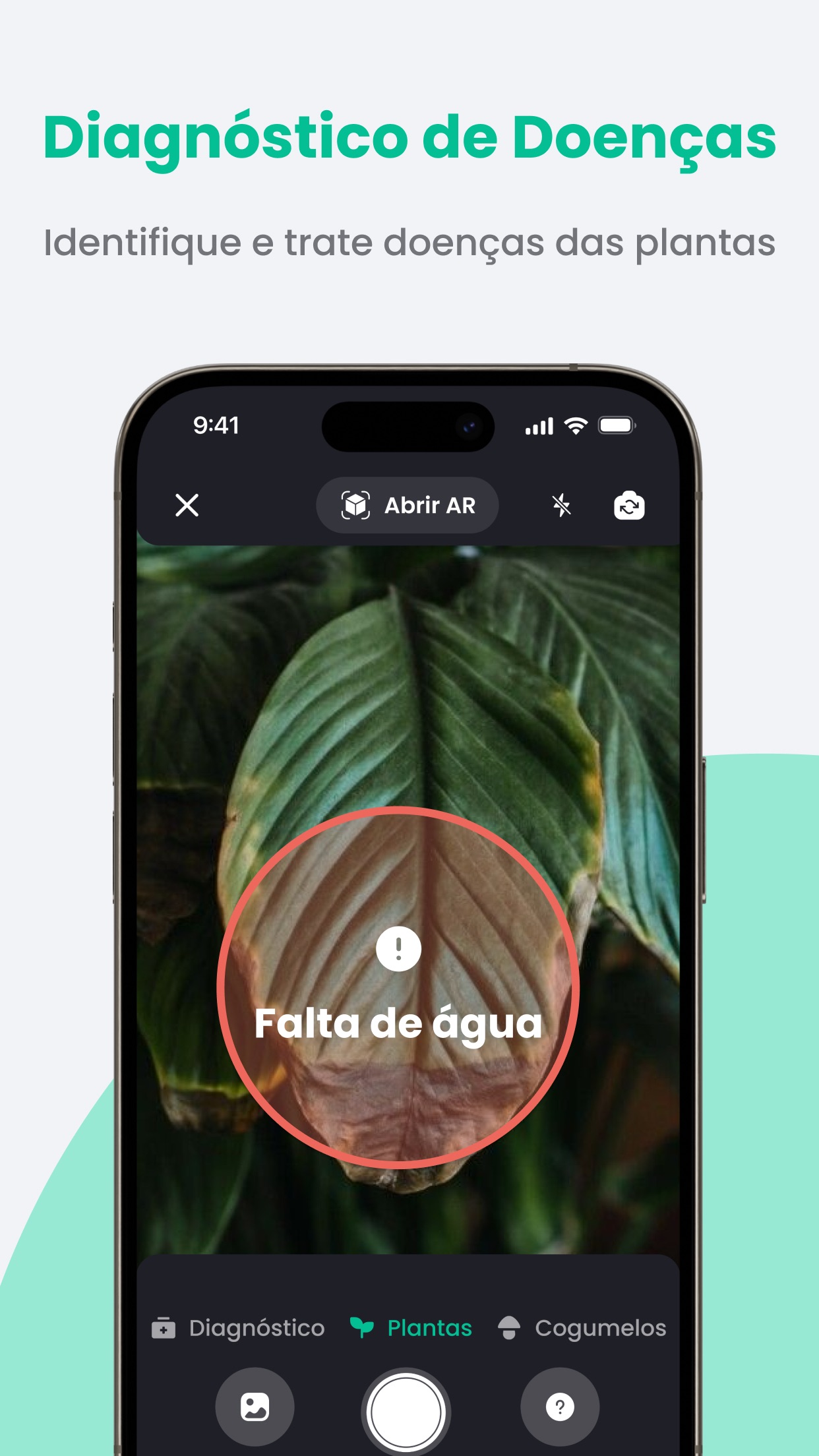 Captura de ecrã 2 da app PlantIn: Identificar plantas
