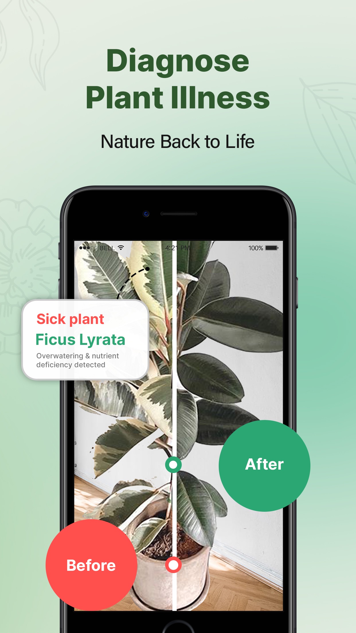 Captura de ecrã 3 da app plant scanner