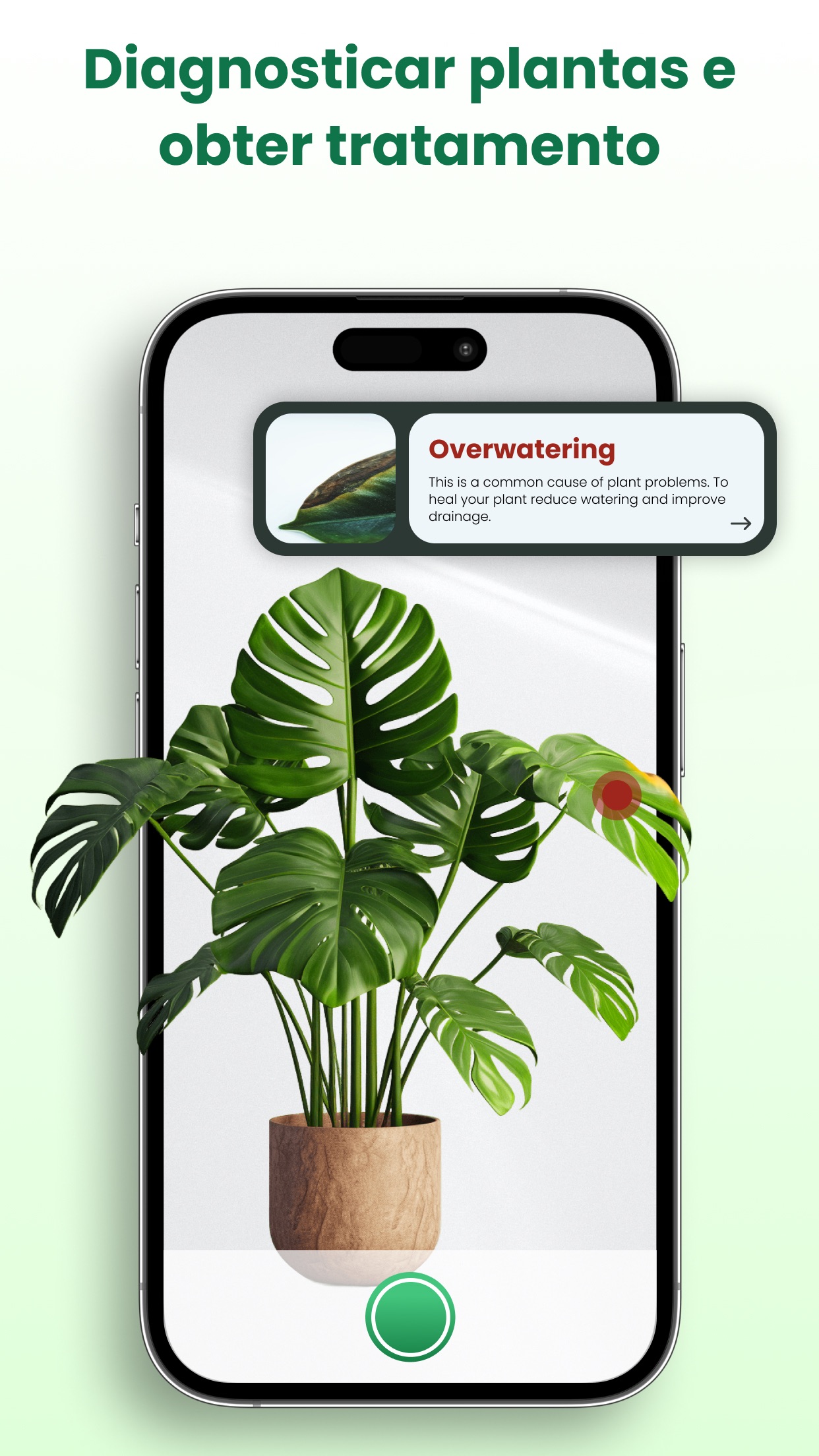Captura de ecrã 2 da app Flor Identificador De Plantas