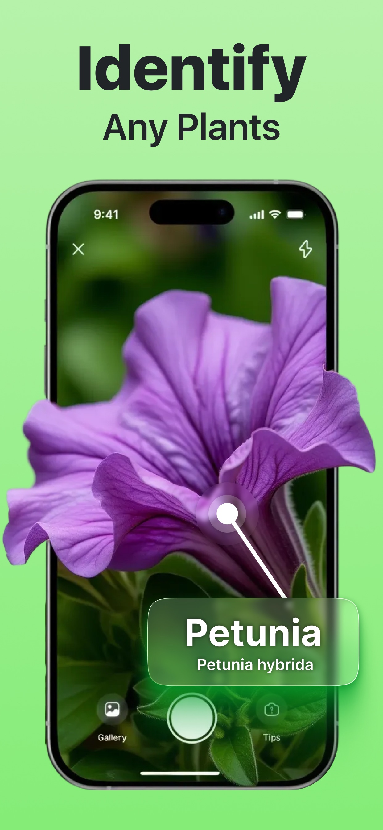 Captura de ecrã 1 da app Uplants - AI Plant Identifier
