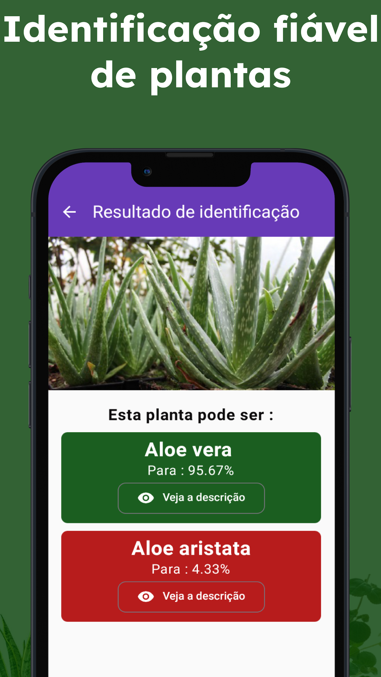Captura de ecrã 2 da app Plantas identificador e folhas