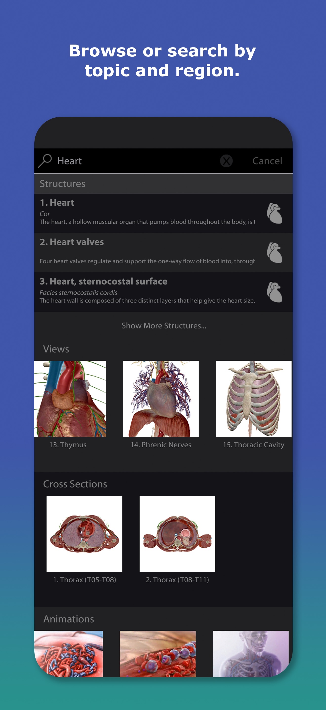 Captura de ecrã 4 da app Human Anatomy Atlas 2026
