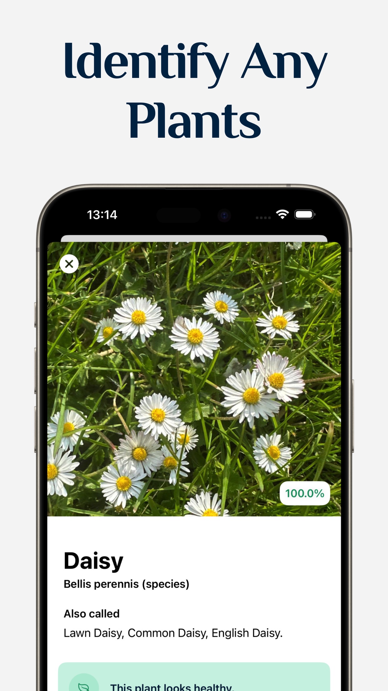 Captura de ecrã 2 da app Identificador de Plantas +