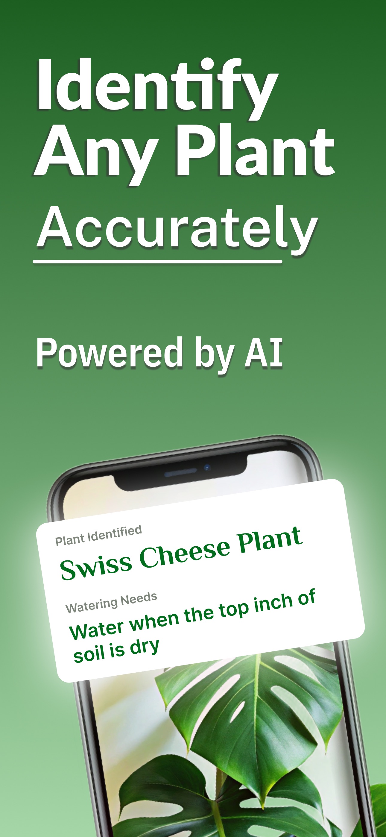 Captura de ecrã 1 da app Plant App: Tree Identification