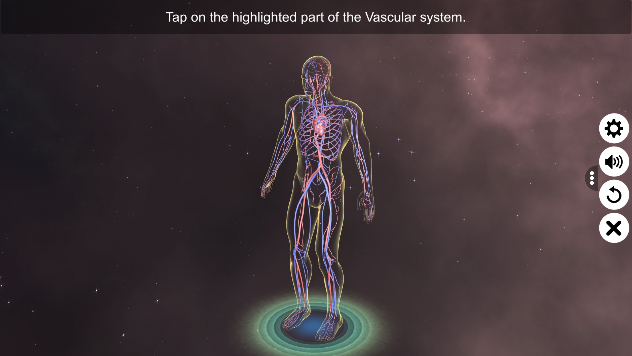 Captura de ecrã 1 da app Vascular system