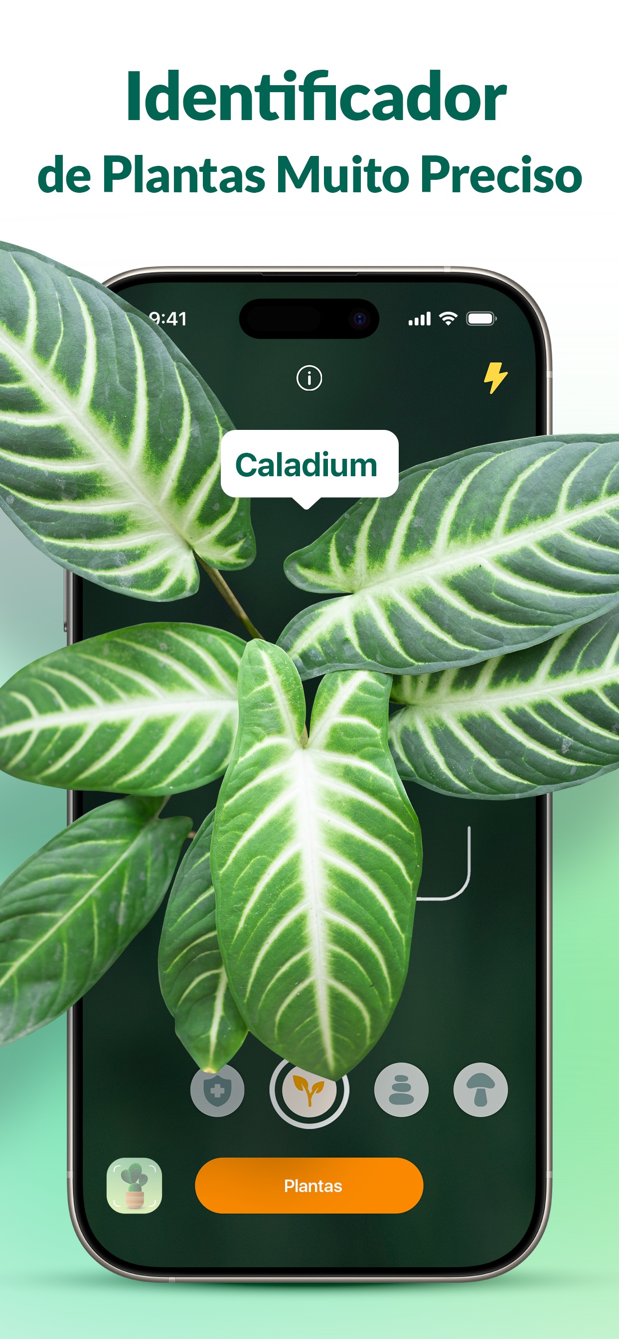 Captura de ecrã 1 da app Plantum: Identificador plantas