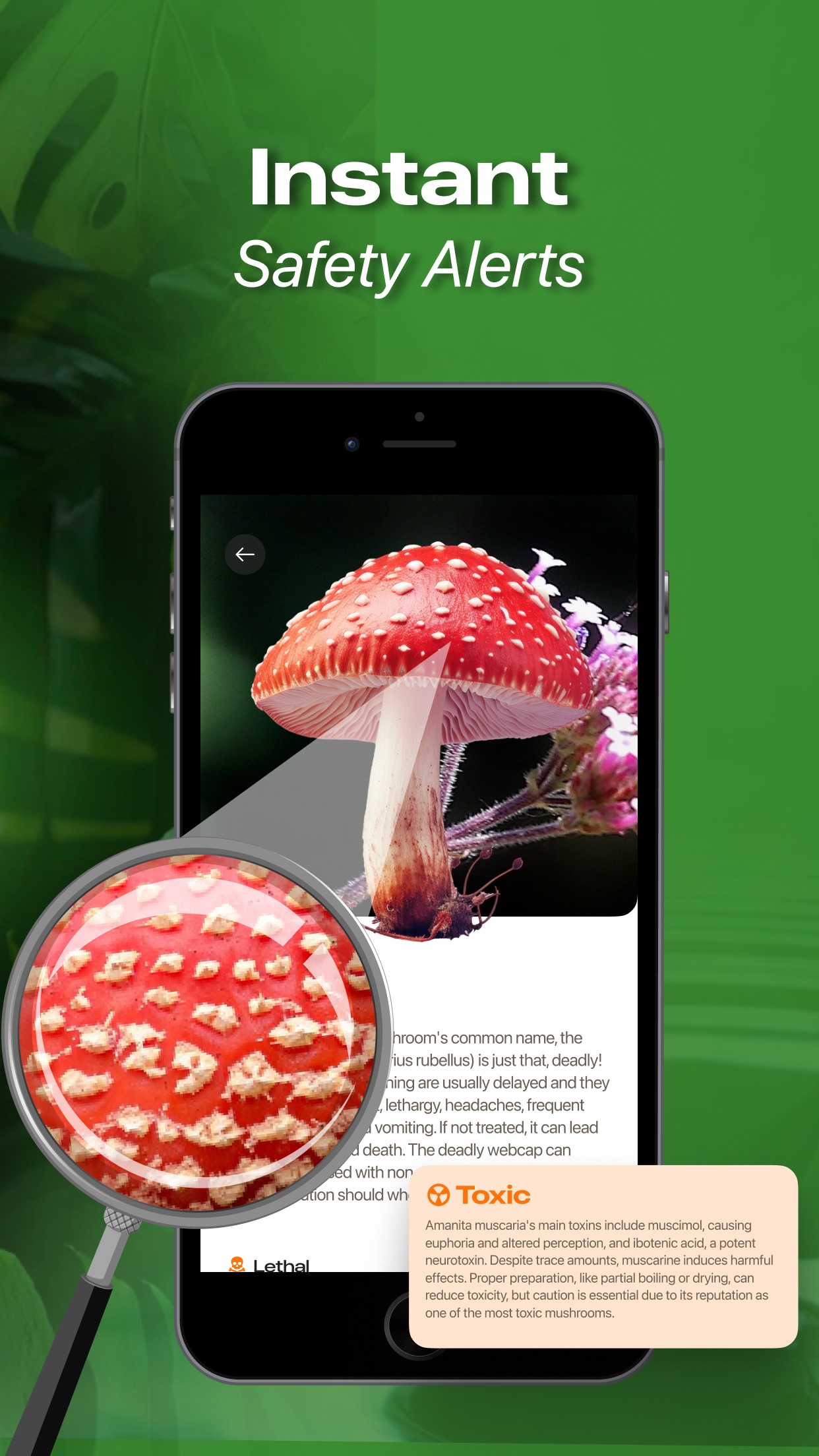 Captura de ecrã 4 da app Nature ID - Plant Identifier