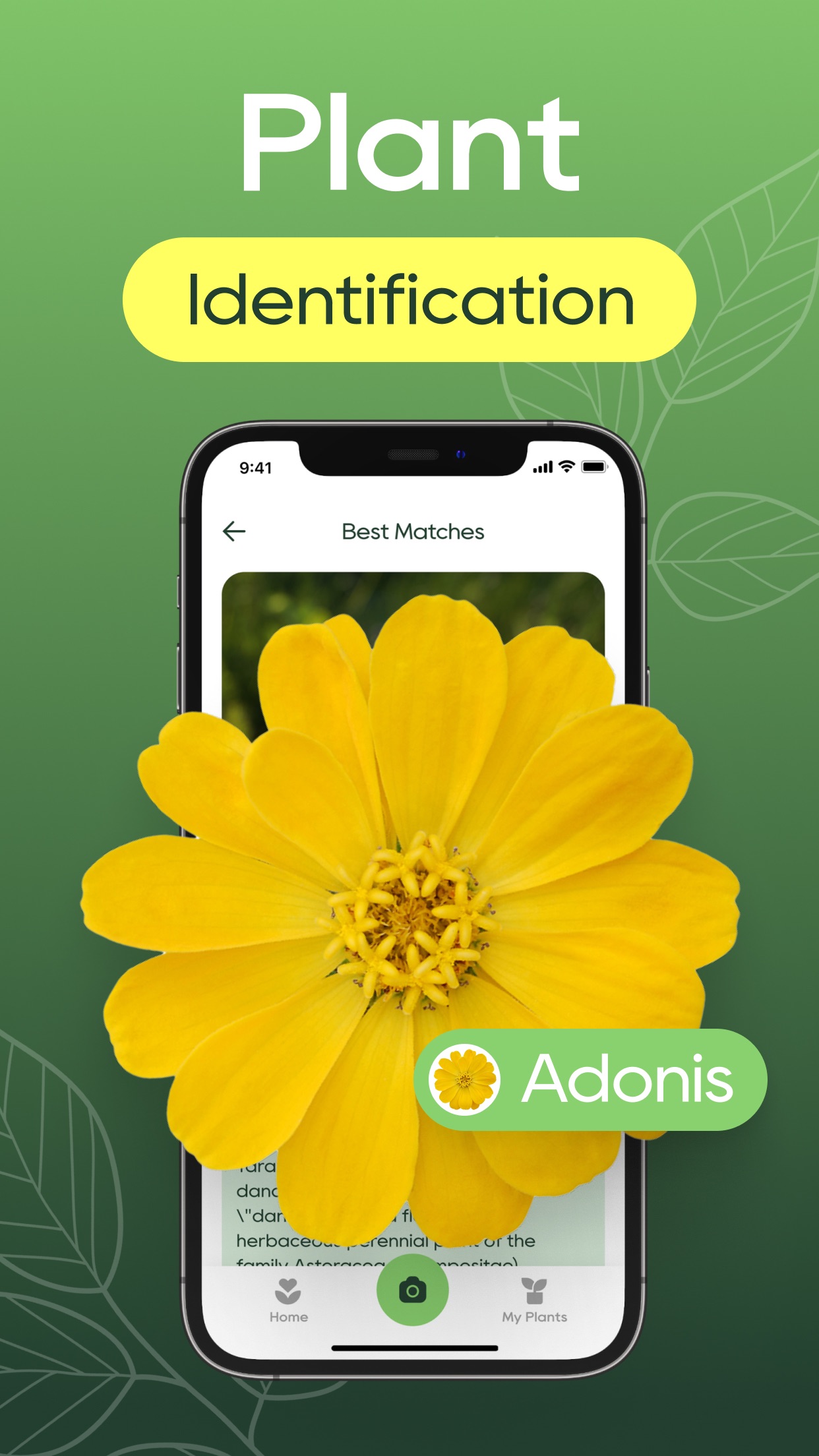 Captura de ecrã 1 da app Identificador plantas PLNTai