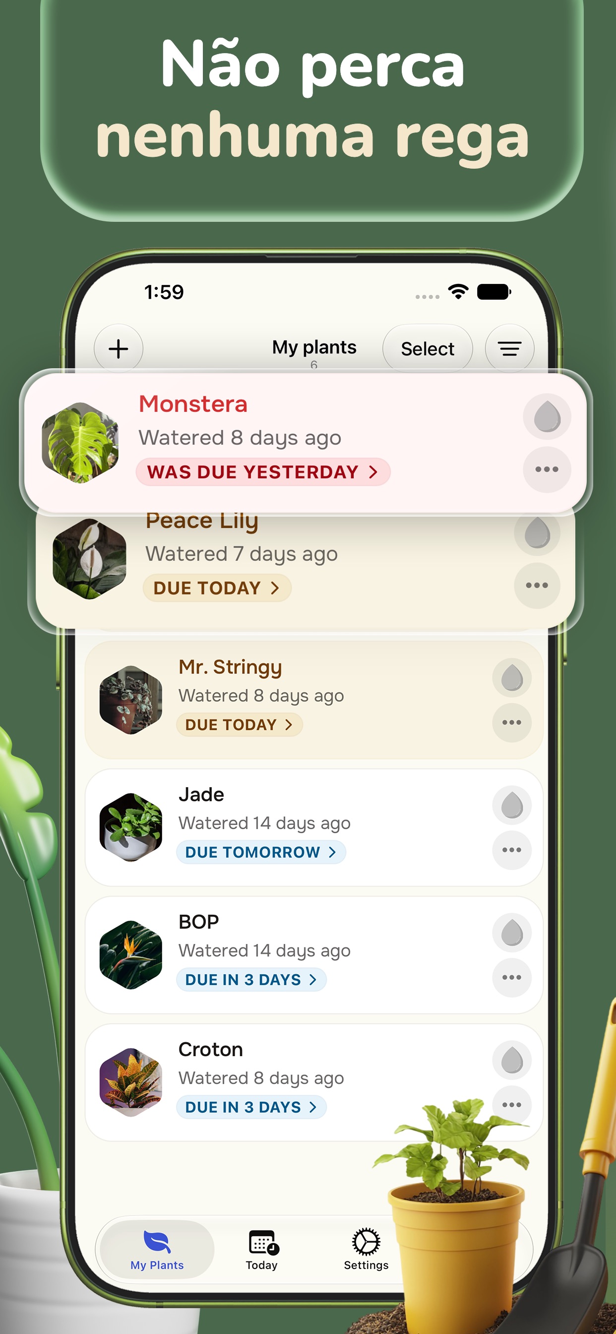 Captura de ecrã 3 da app Cuidado de Plantas - Ploi