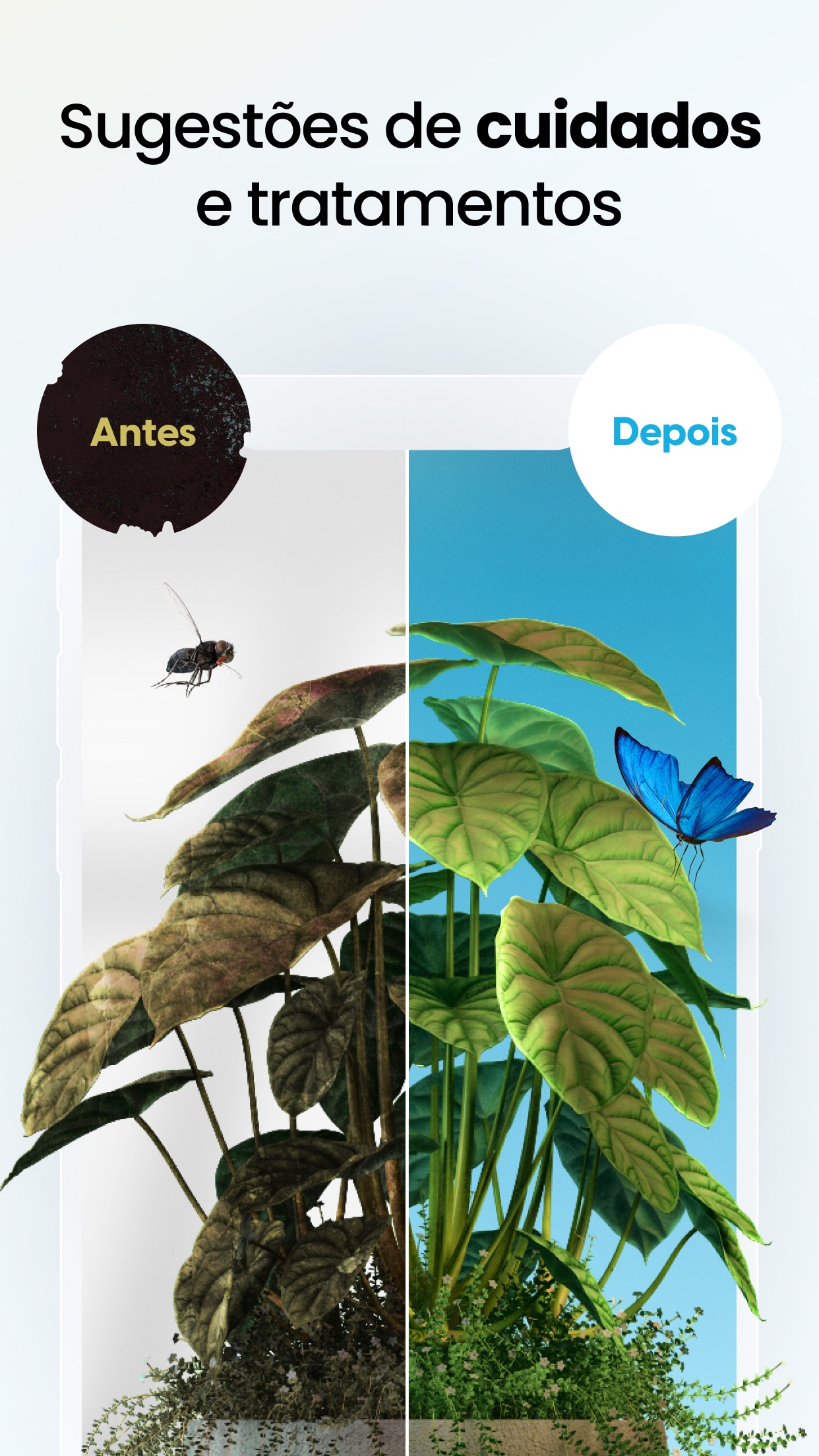 Captura de ecrã 4 da app PlantApp – Identifica plantas